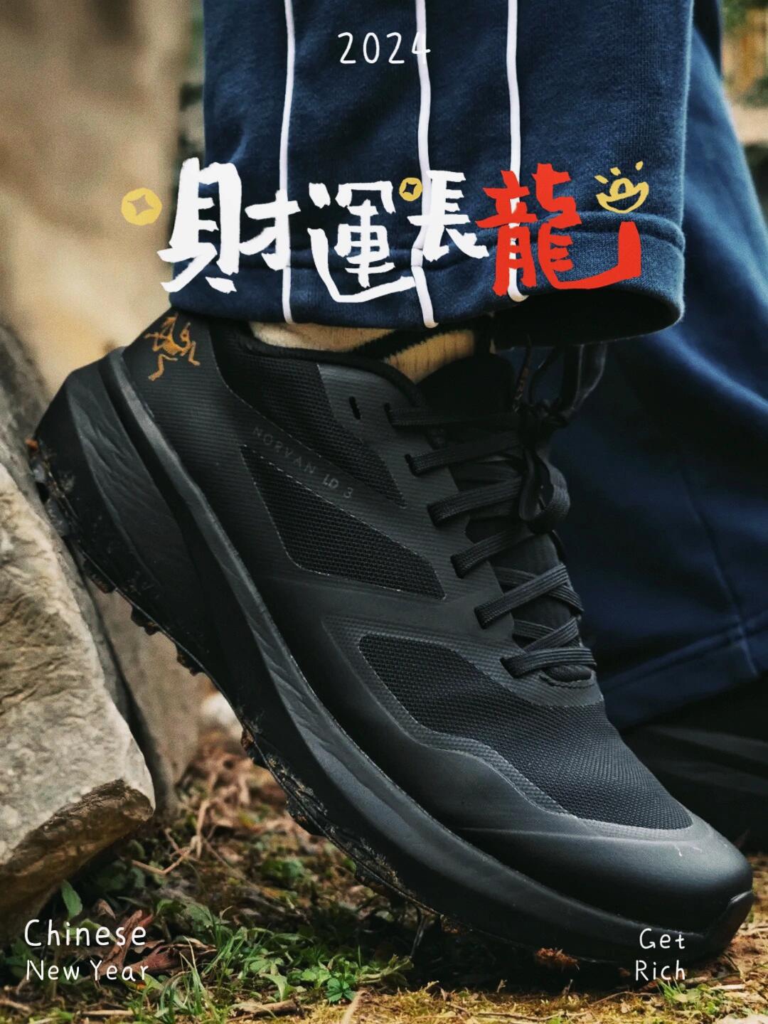 Arcteryx Basic Shoes L