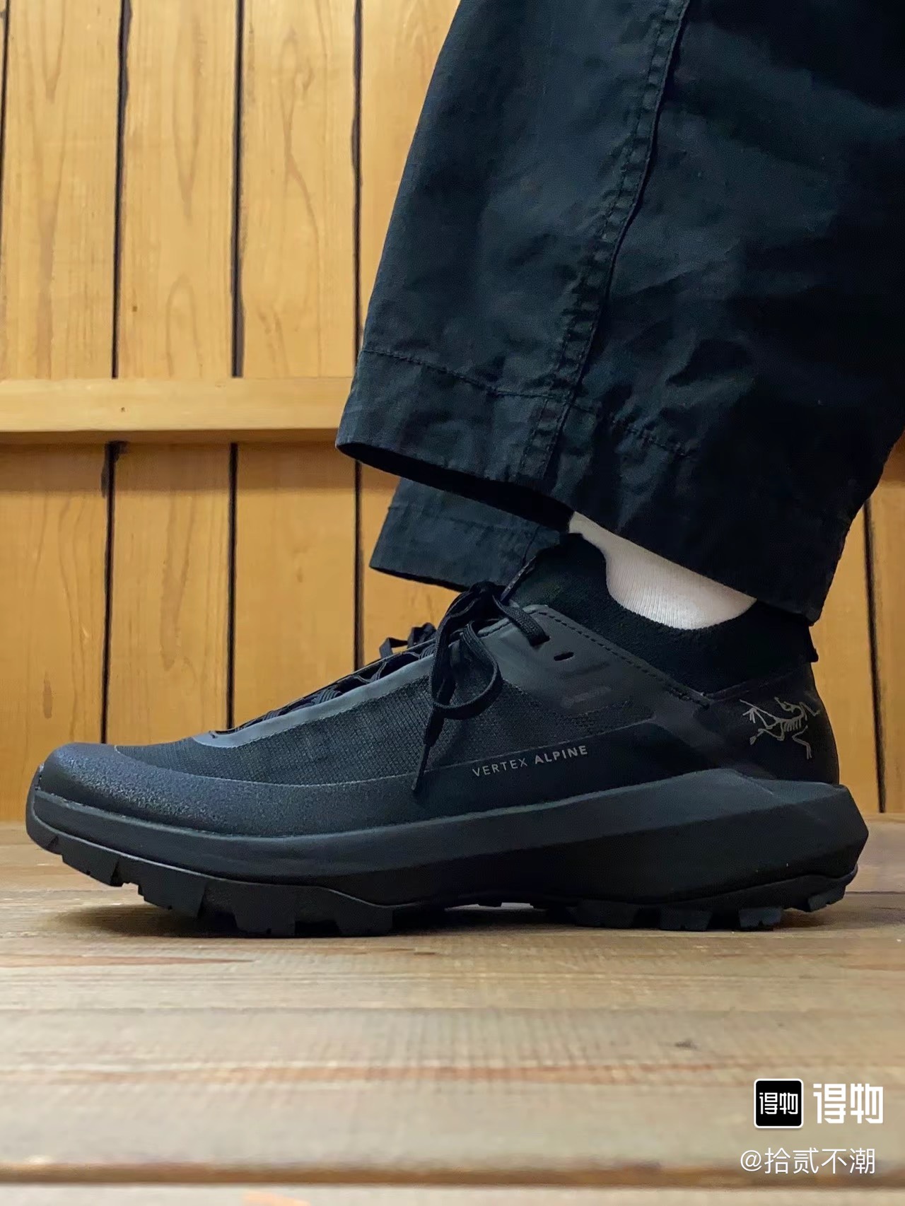 Arcteryx Basic Shoes