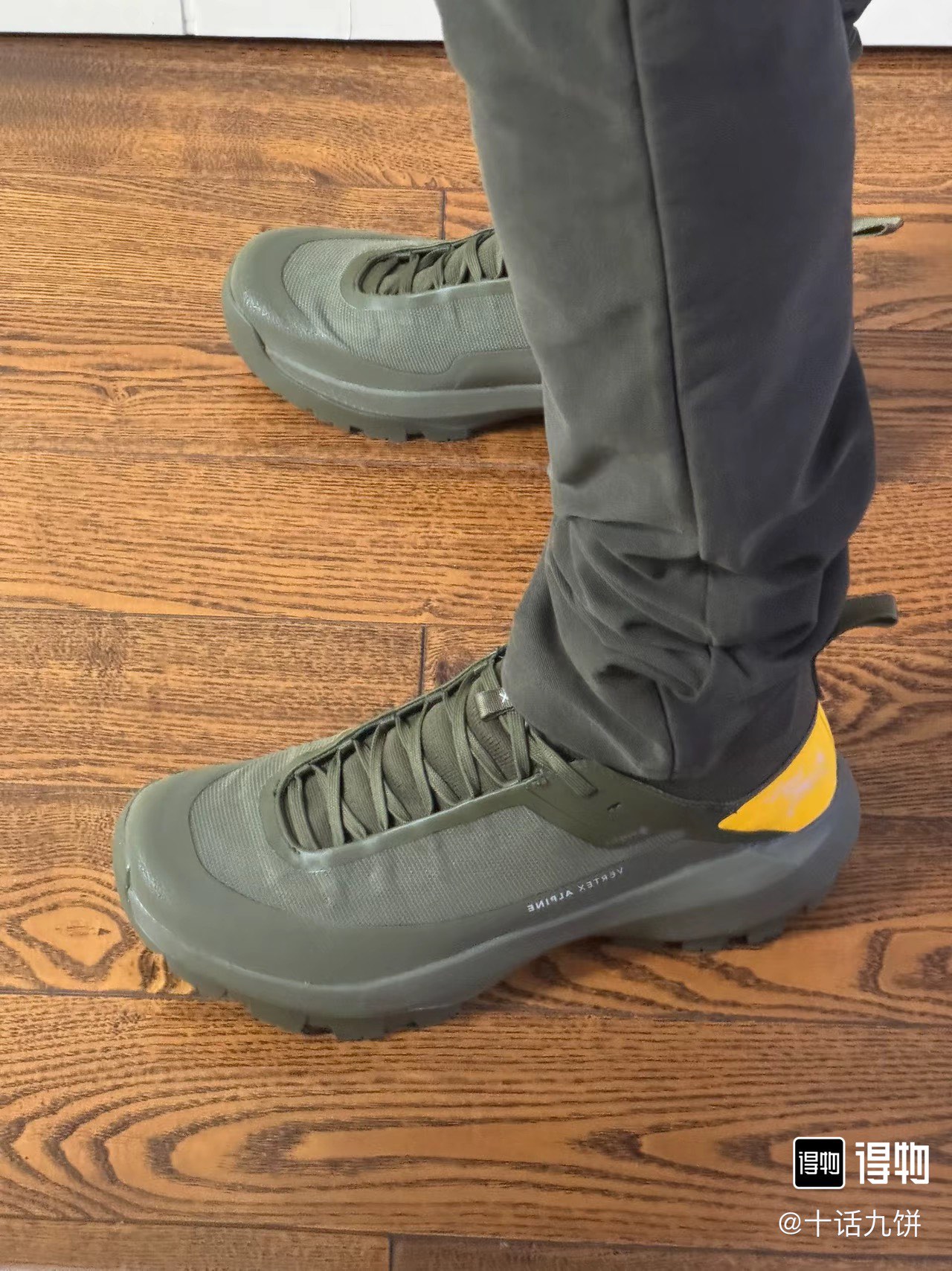 Arcteryx Basic Shoes