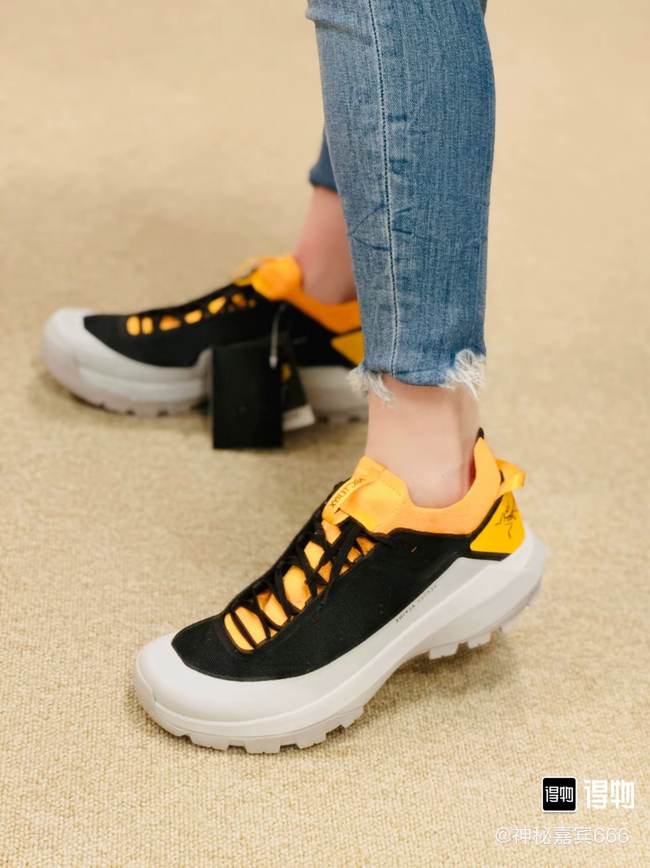 Arcteryx Basic Shoes