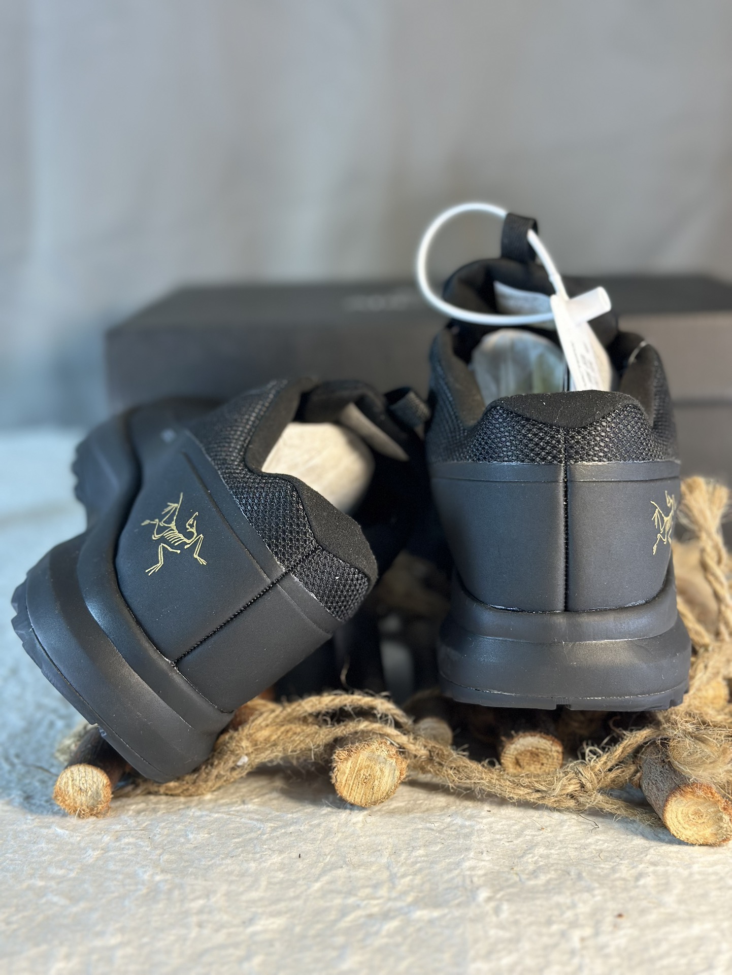 Arcteryx Basic Shoes M-l-s