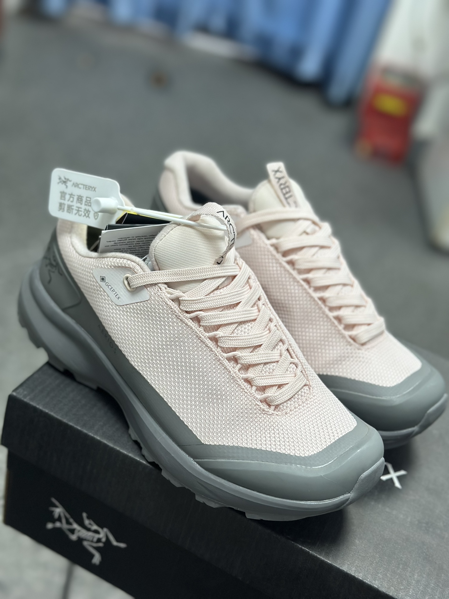 Arcteryx Basic Shoes Pink S