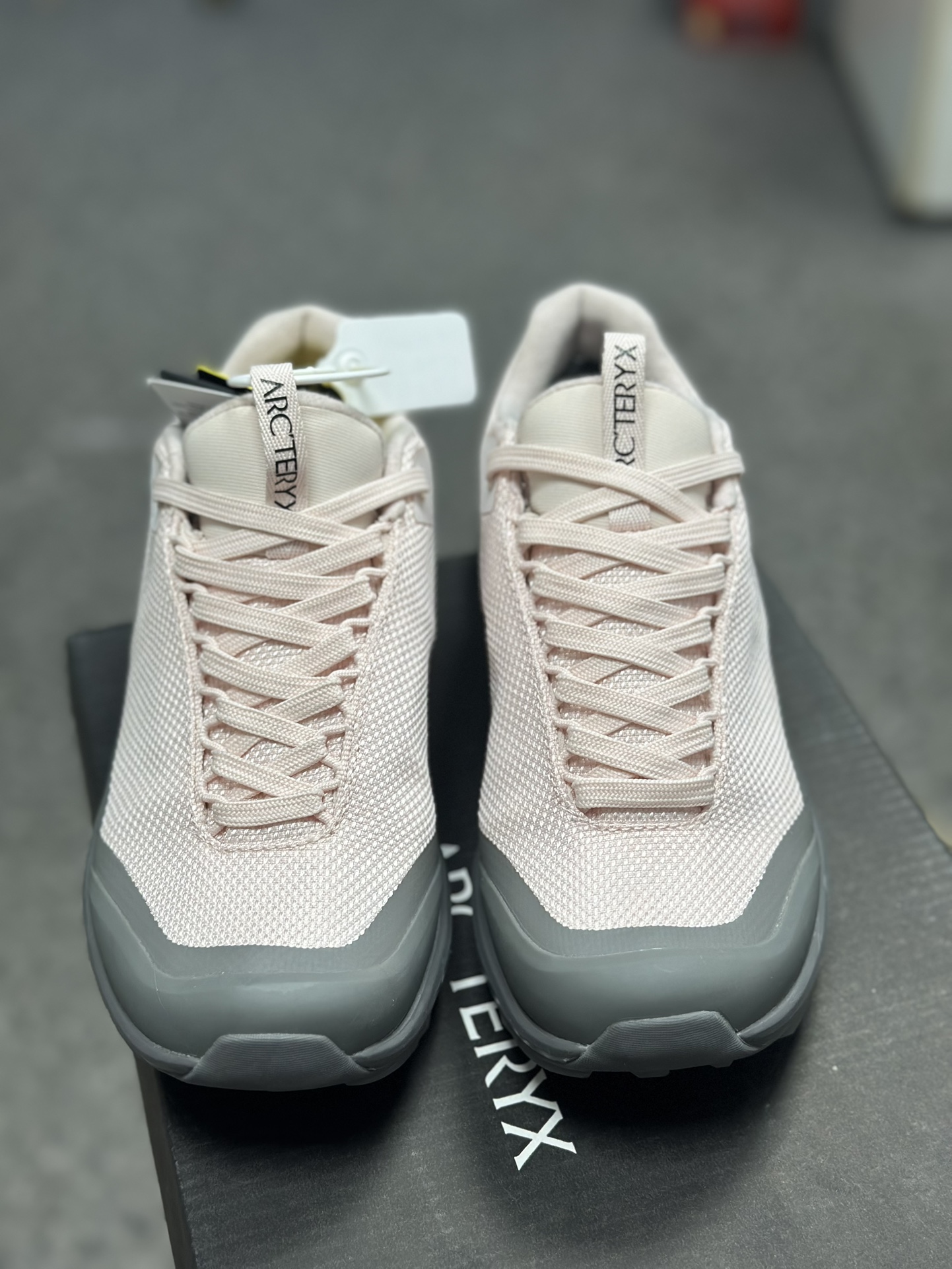 Arcteryx Basic Shoes Pink S