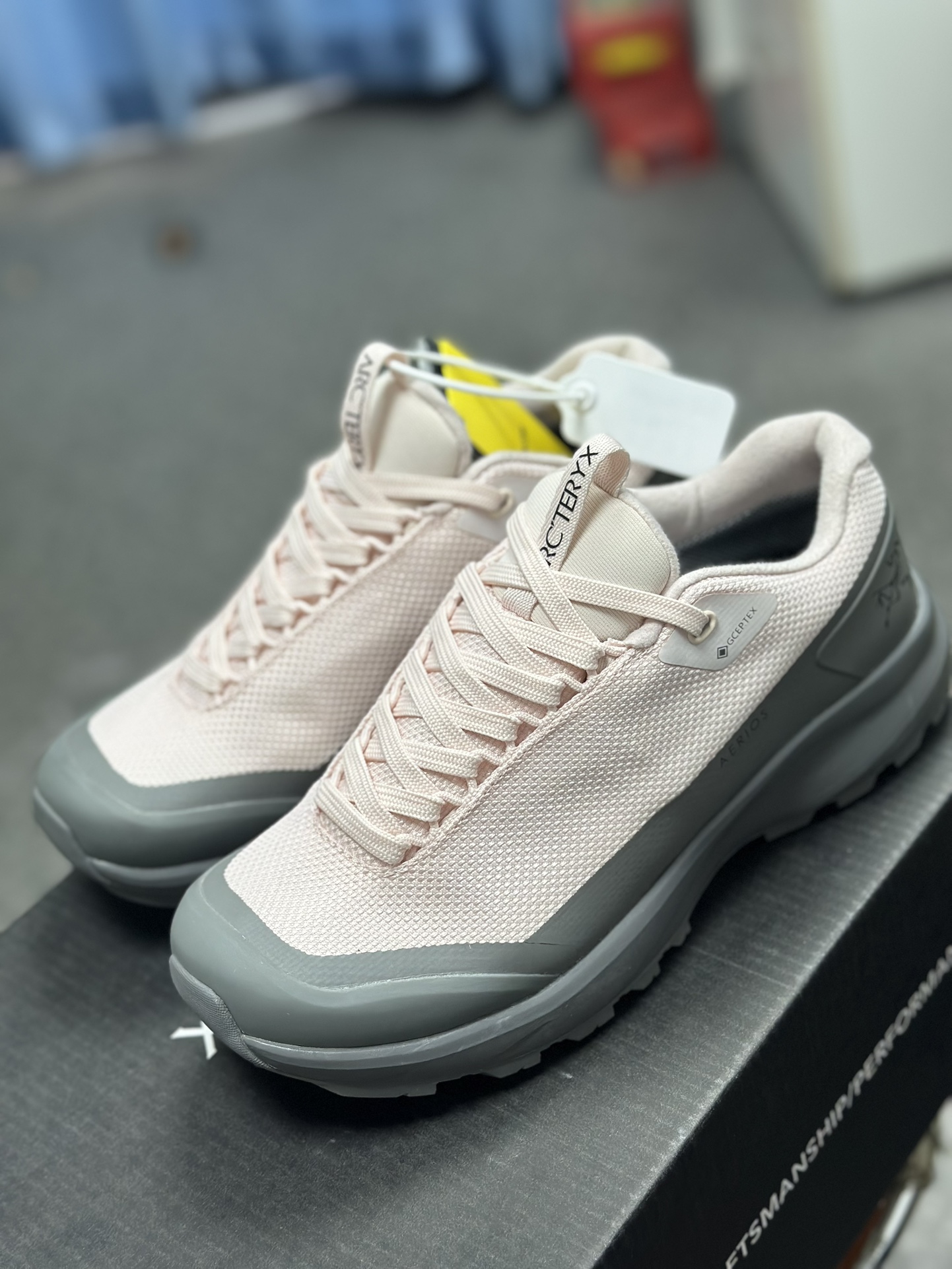 Arcteryx Basic Shoes Pink S