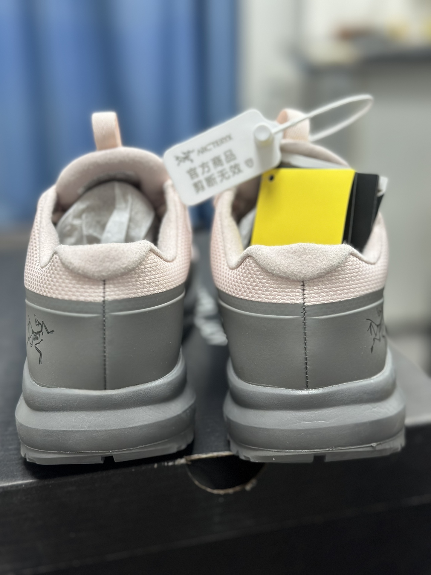 Arcteryx Basic Shoes Pink S