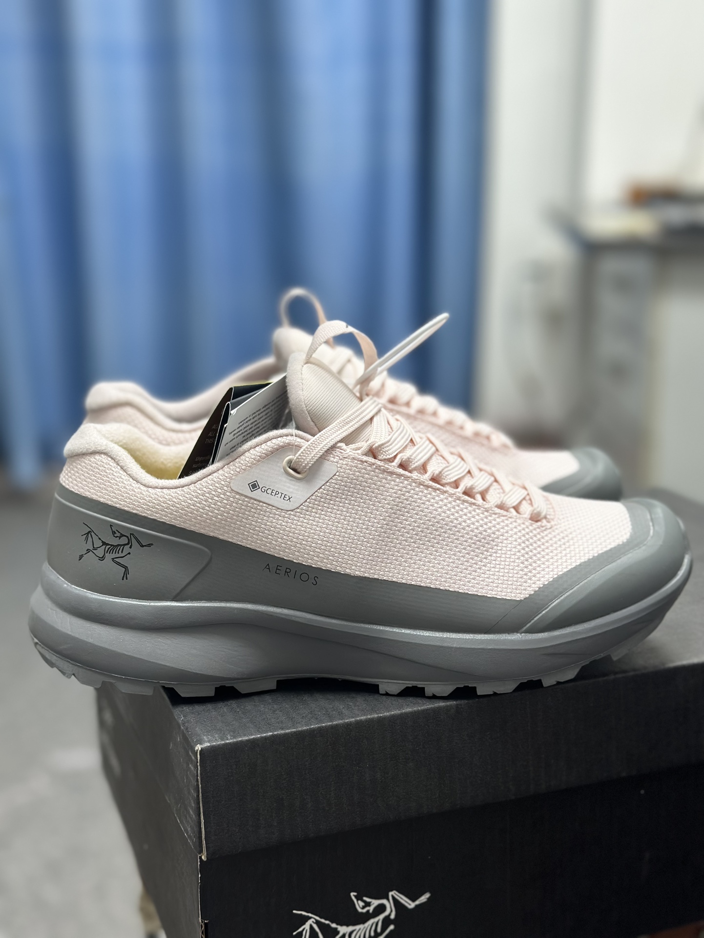 Arcteryx Basic Shoes Pink S