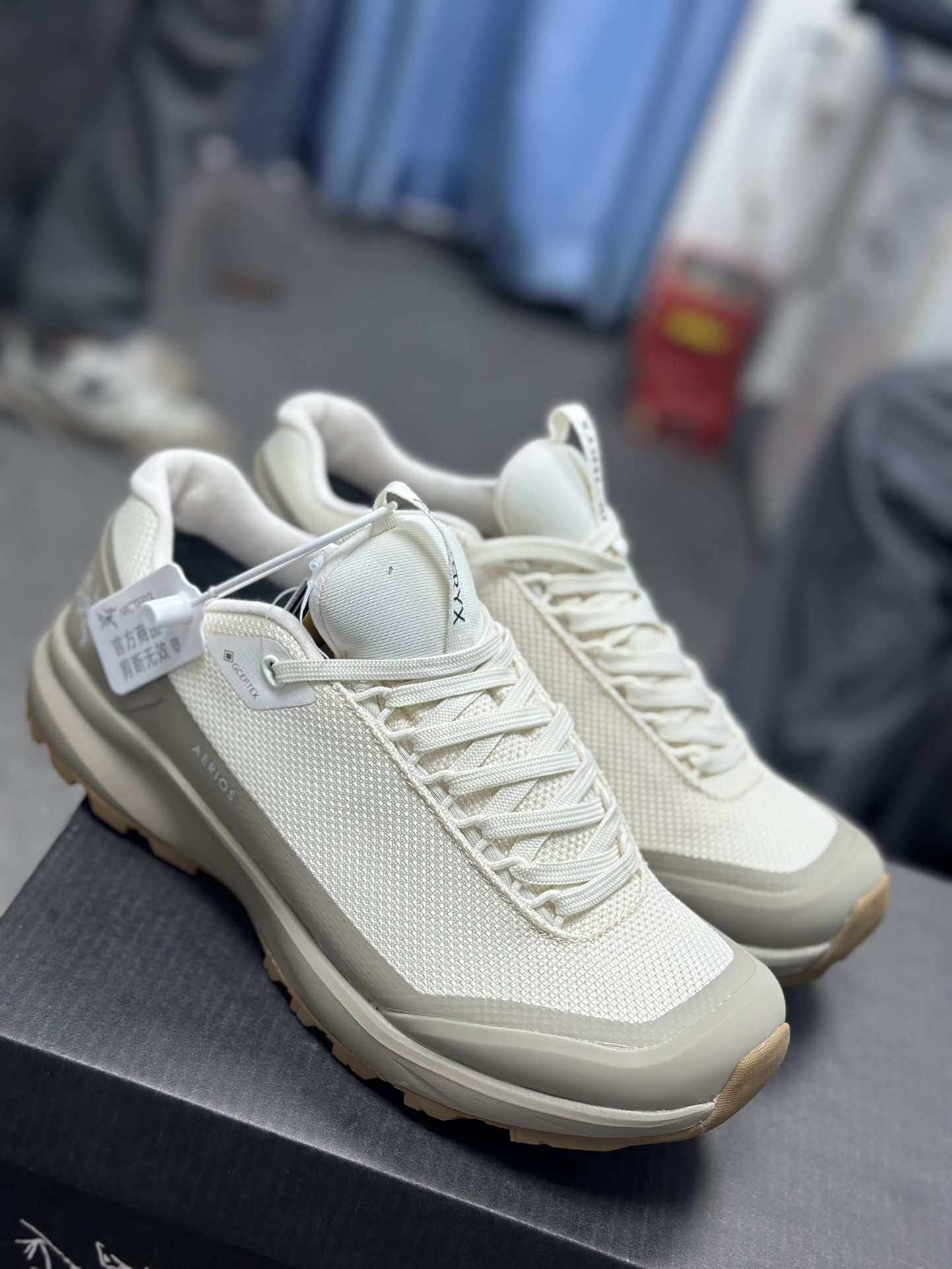 Arcteryx Basic Shoes S