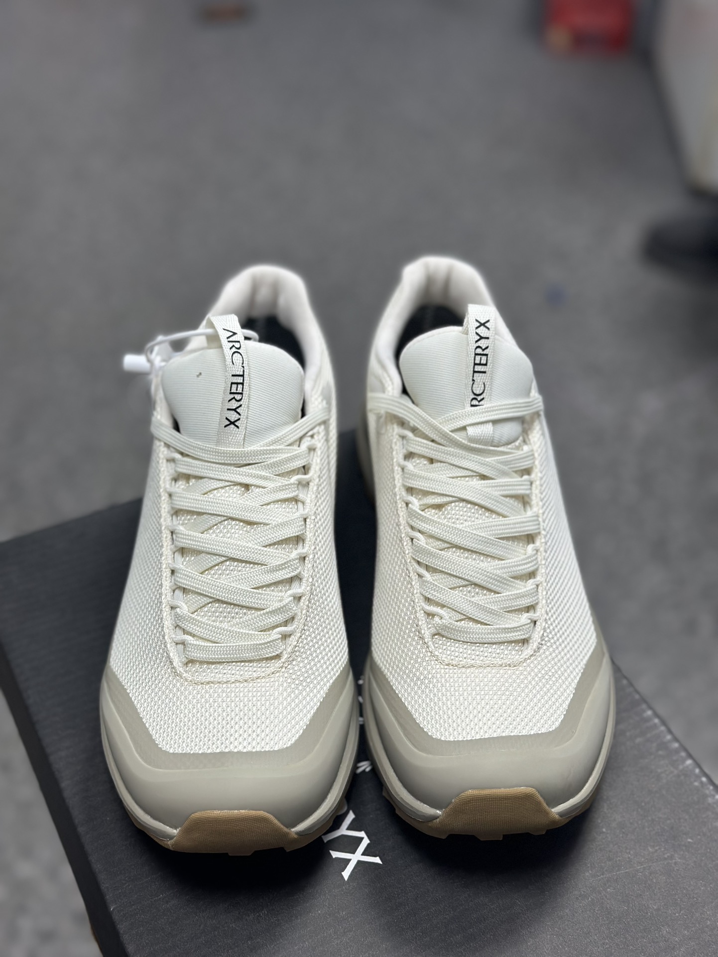 Arcteryx Basic Shoes S