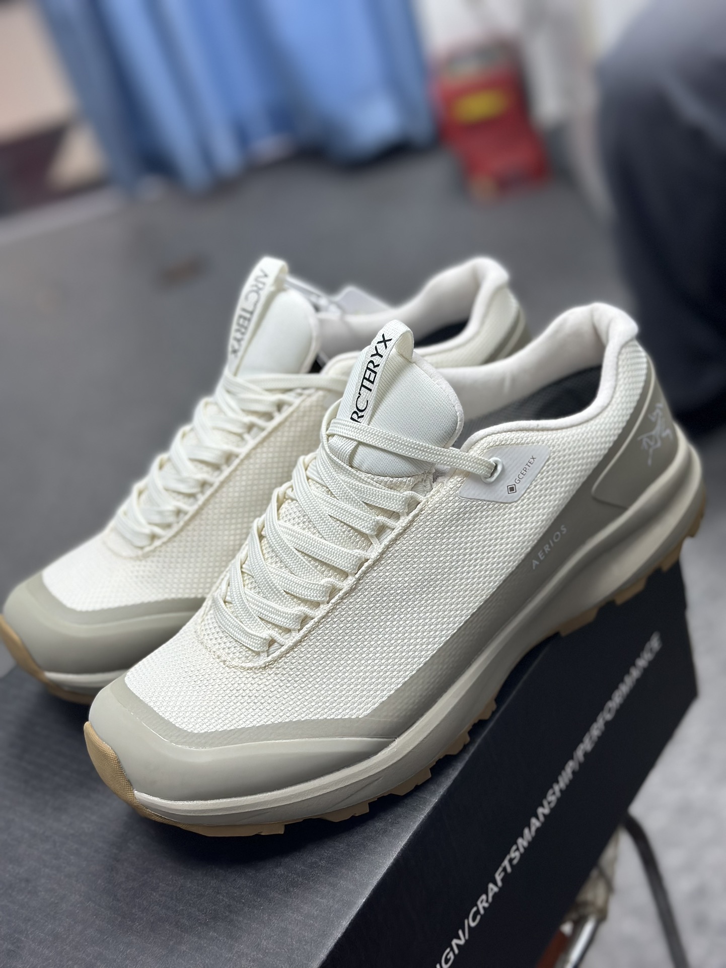 Arcteryx Basic Shoes S