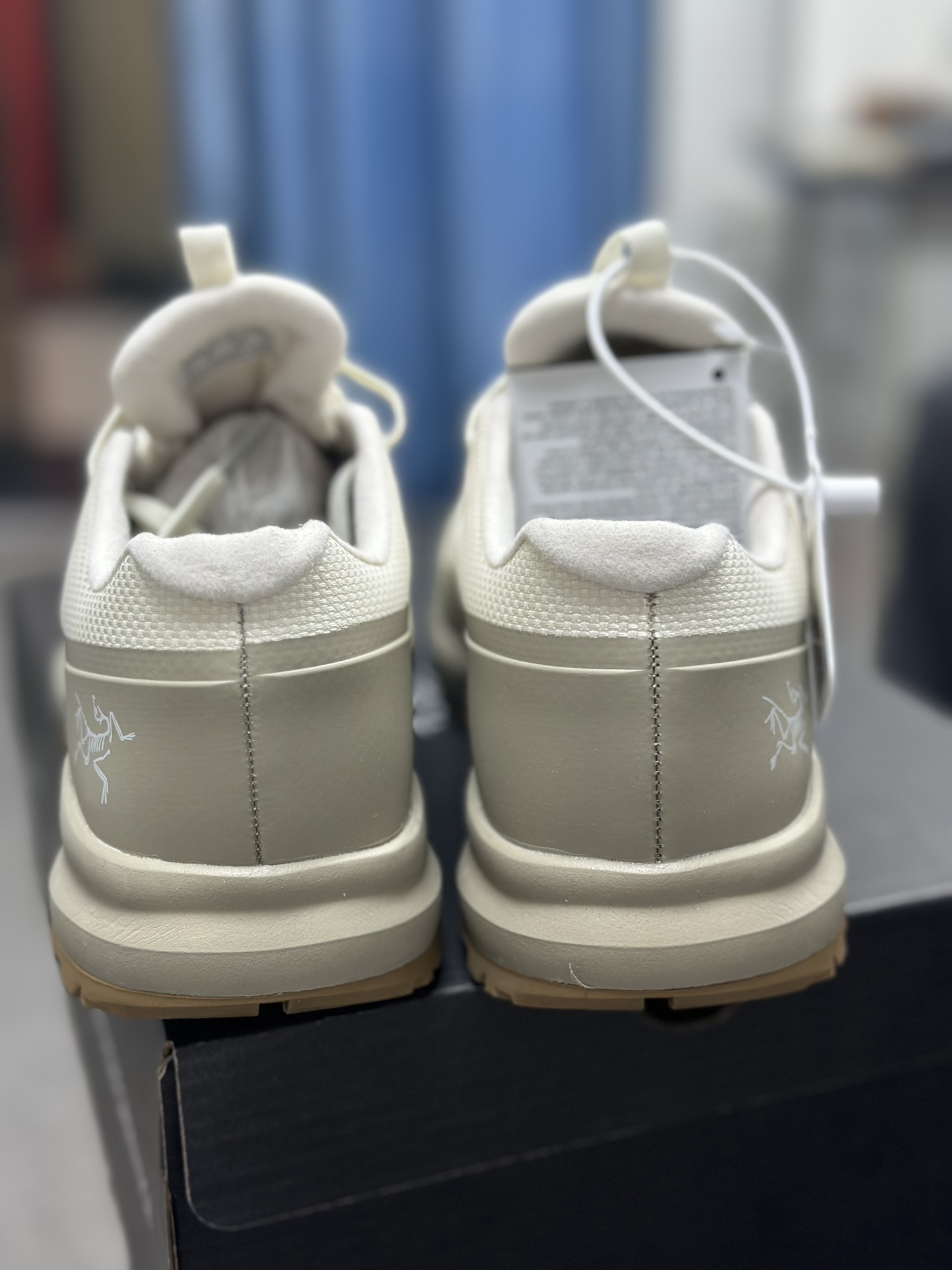 Arcteryx Basic Shoes S