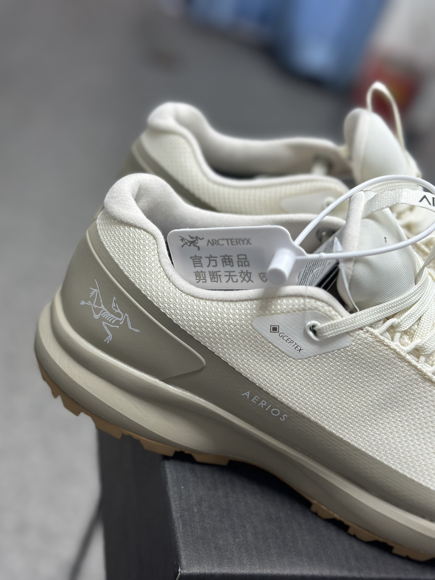Arcteryx Basic Shoes S