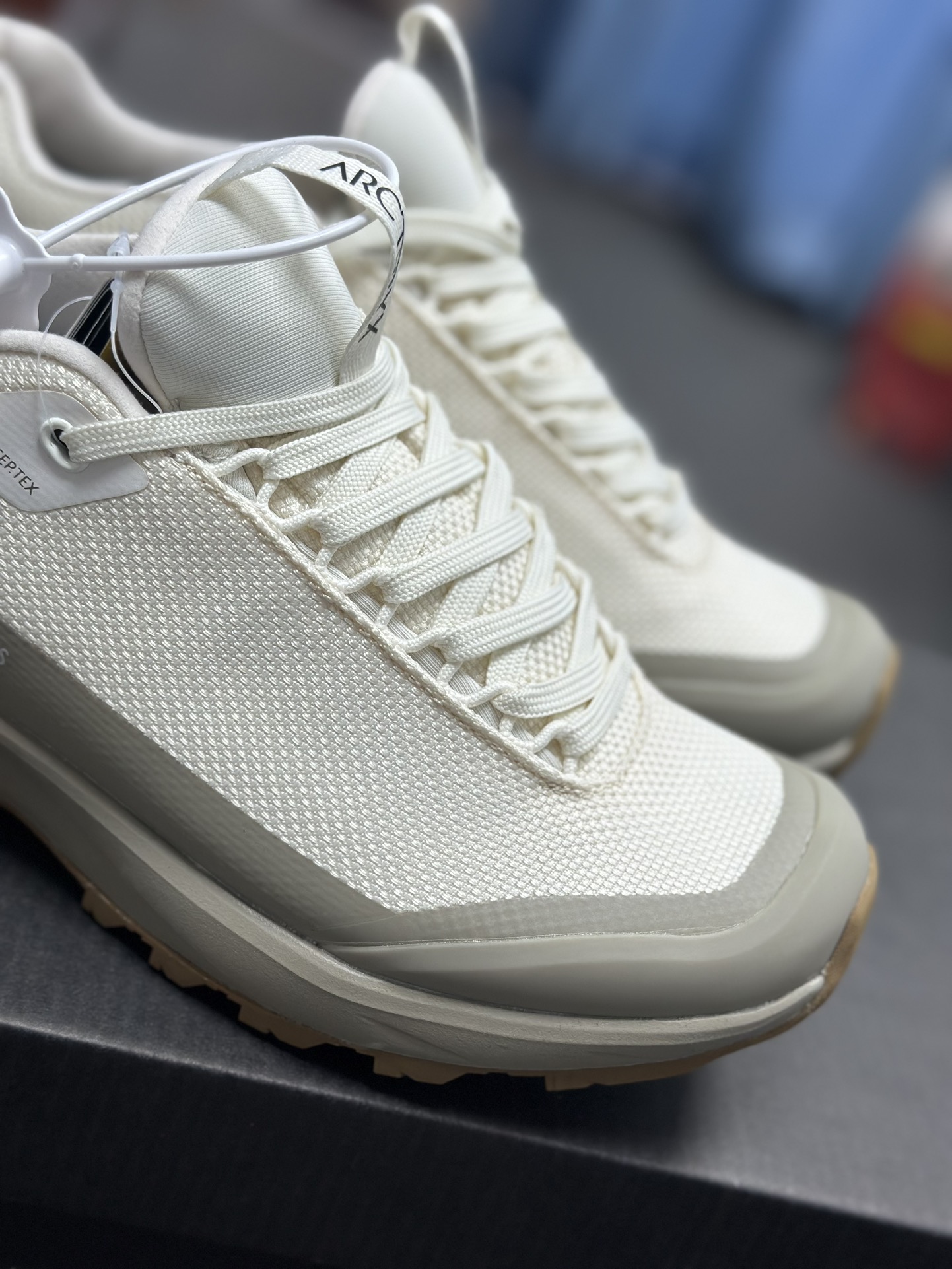 Arcteryx Basic Shoes S