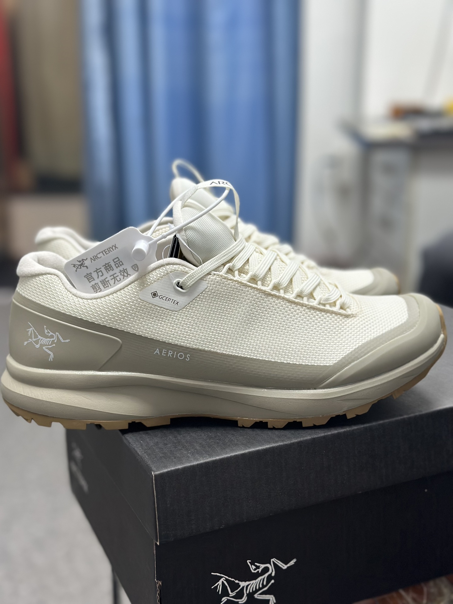 Arcteryx Basic Shoes S