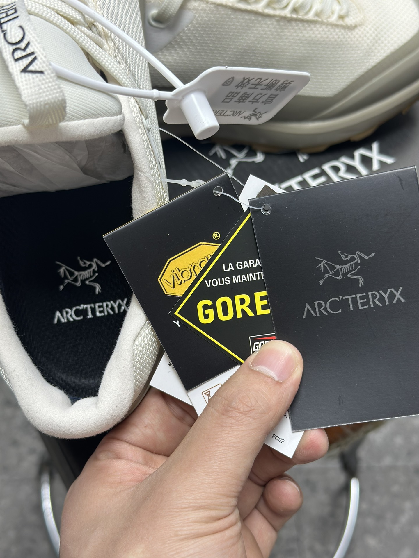 Arcteryx Basic Shoes S