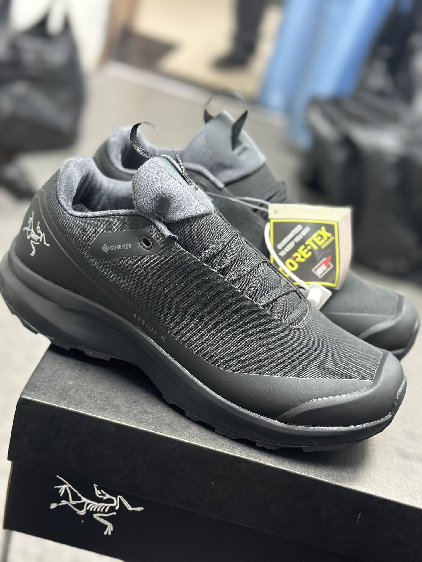 Arcteryx Basic Shoes M-l-s