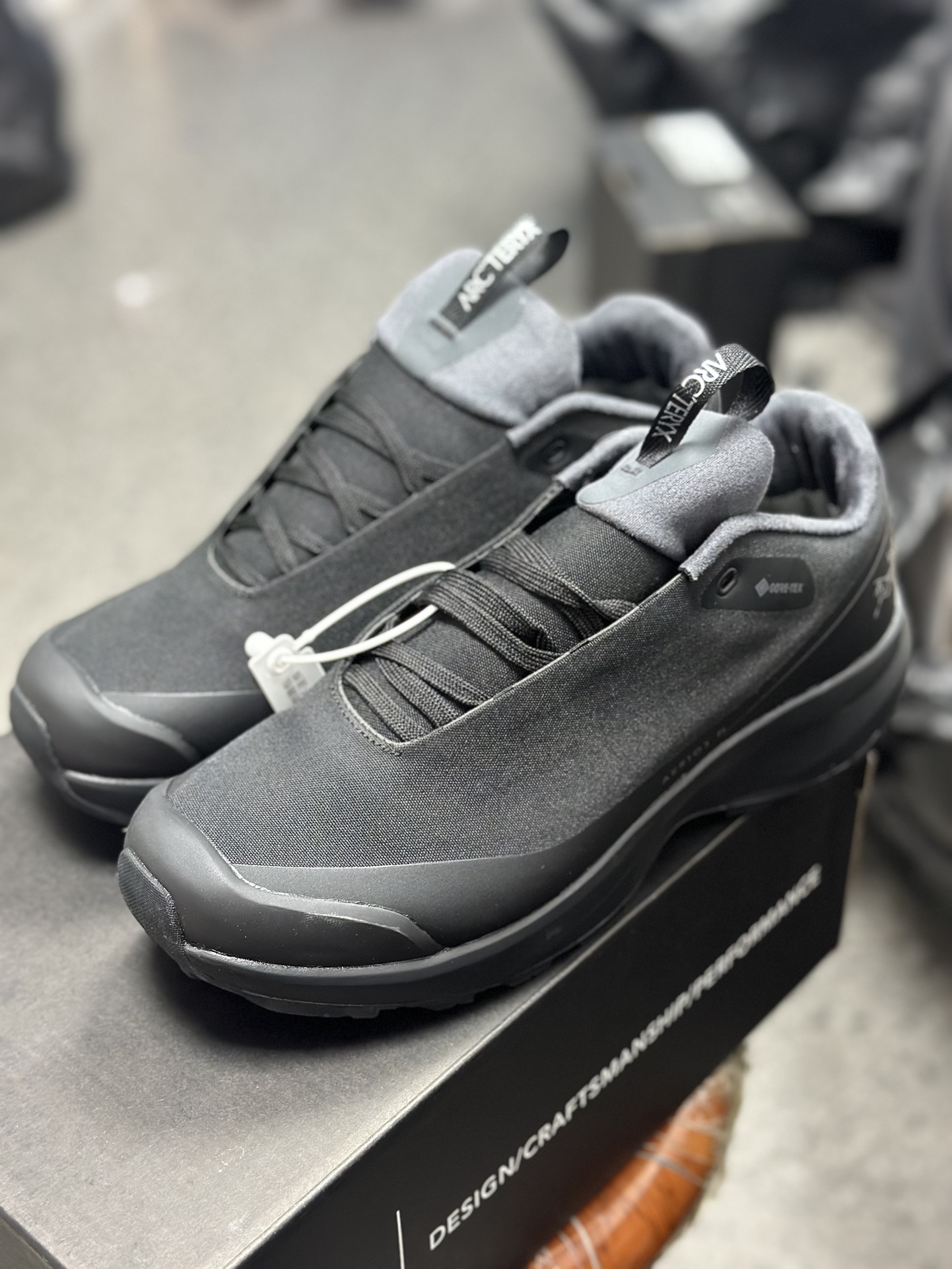Arcteryx Basic Shoes M-l-s