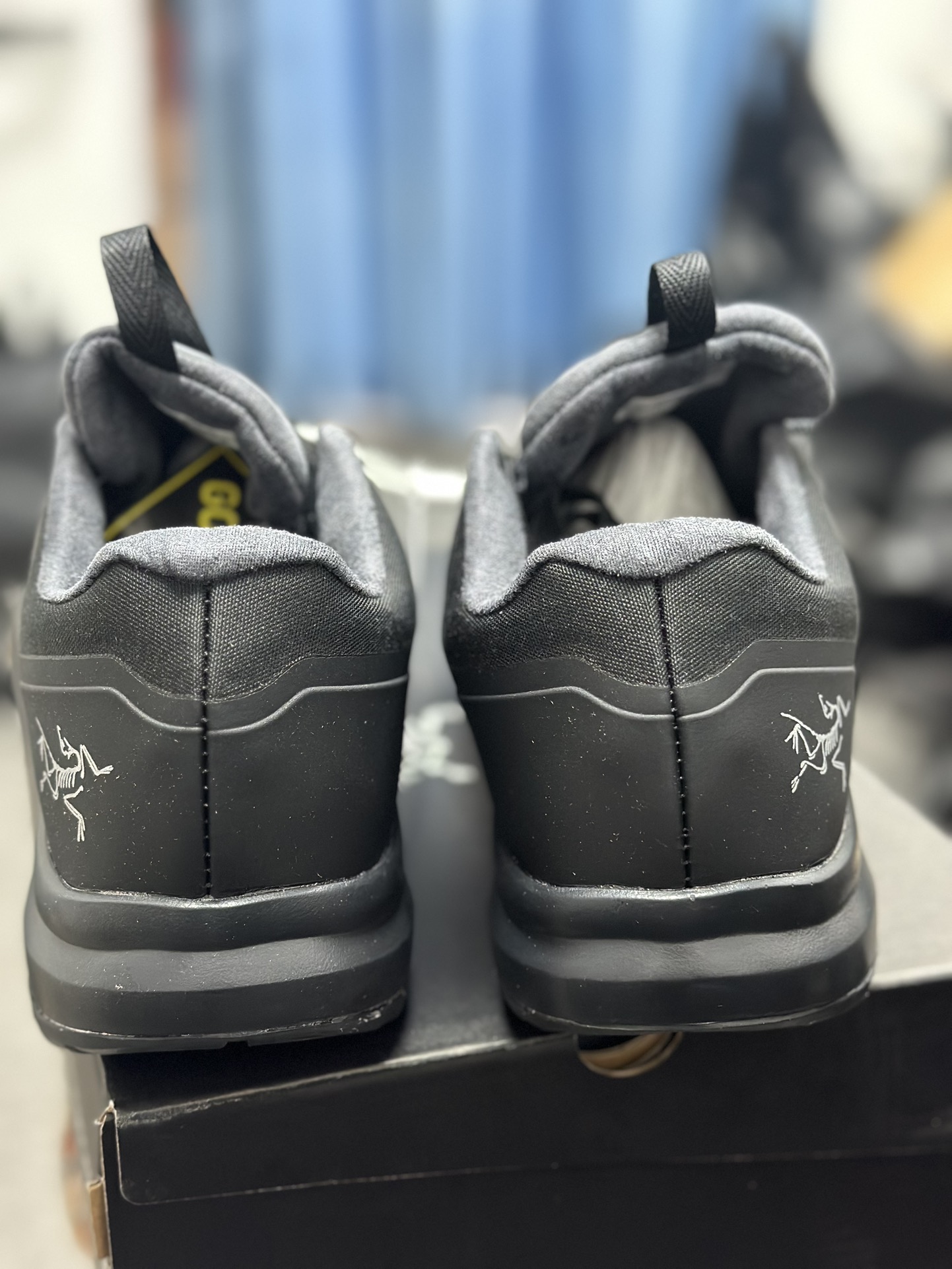 Arcteryx Basic Shoes M-l-s