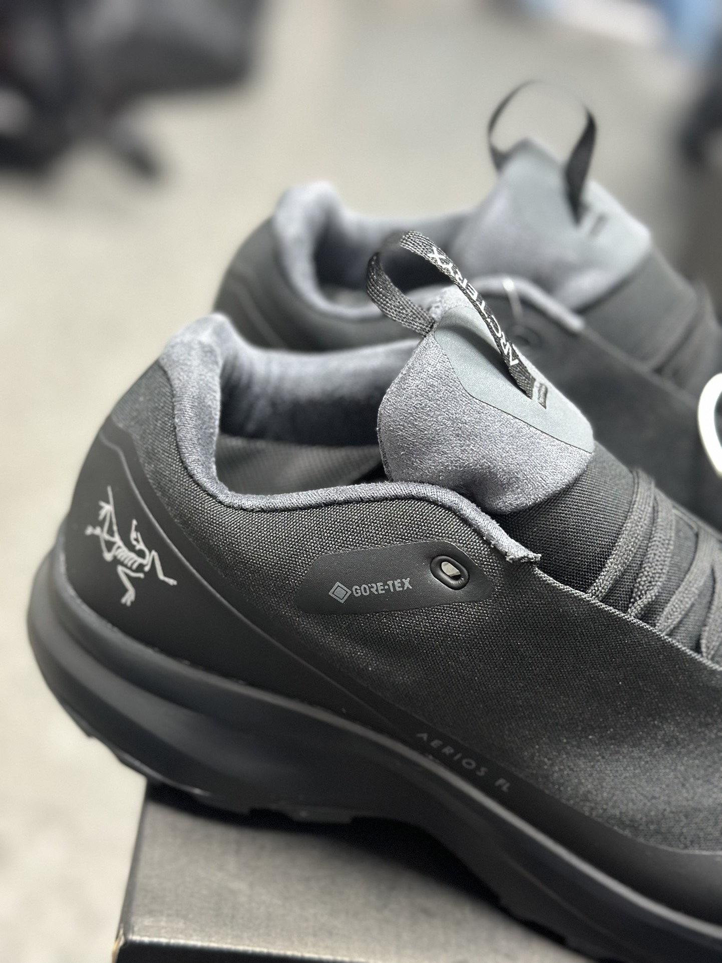 Arcteryx Basic Shoes M-l-s