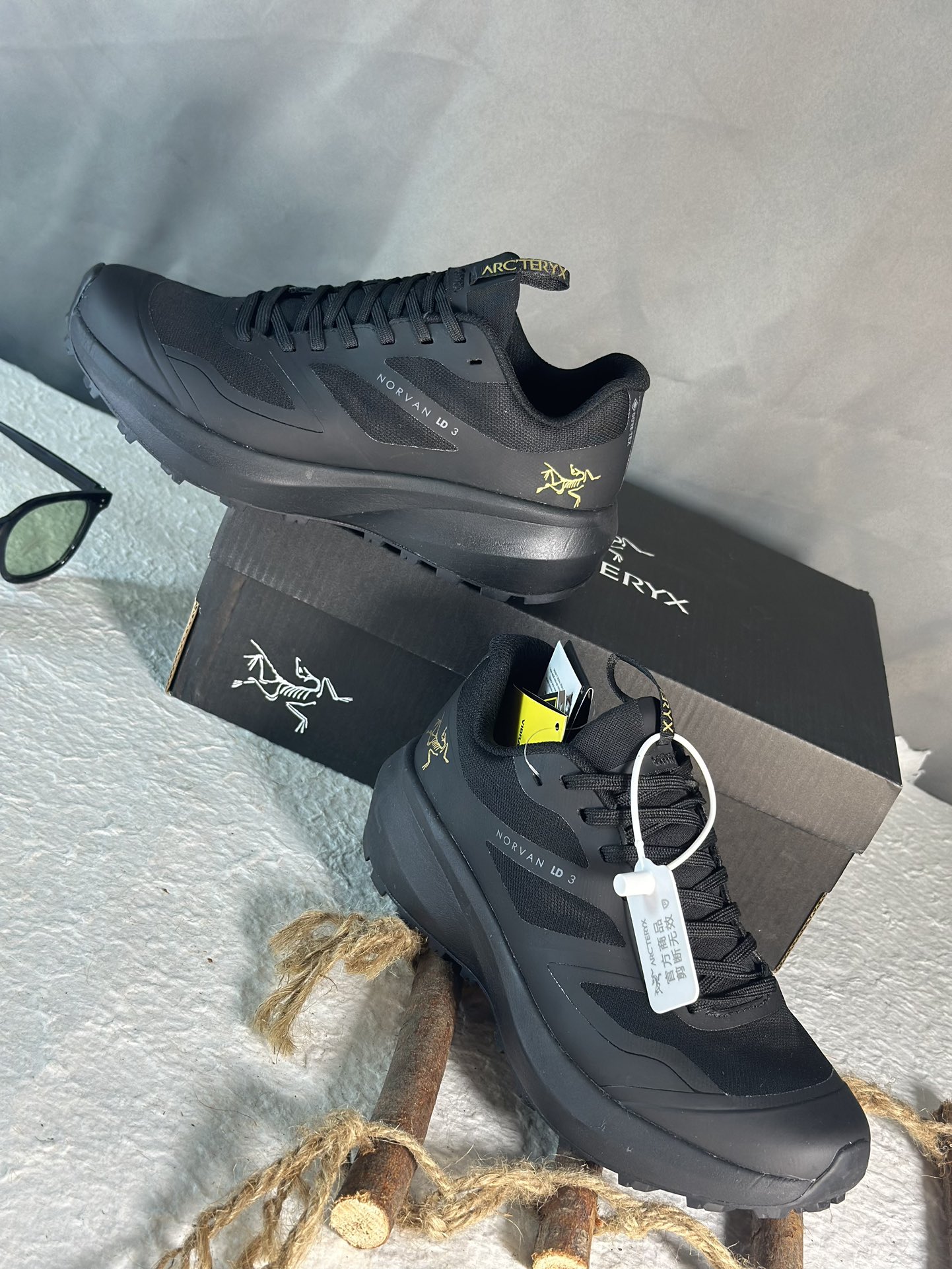 Arcteryx Basic Shoes M-l