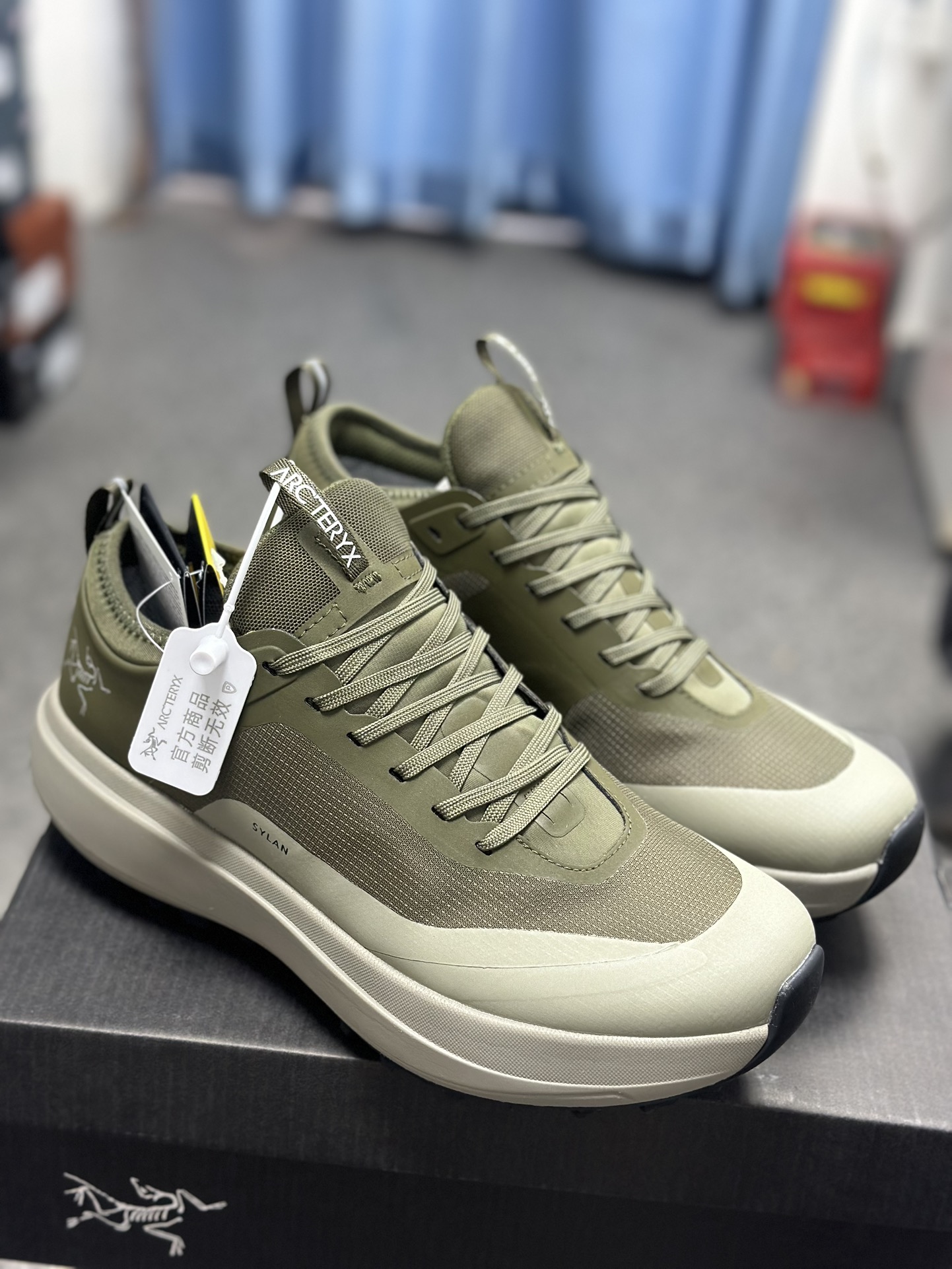 Arcteryx Basic Shoes M-l-s