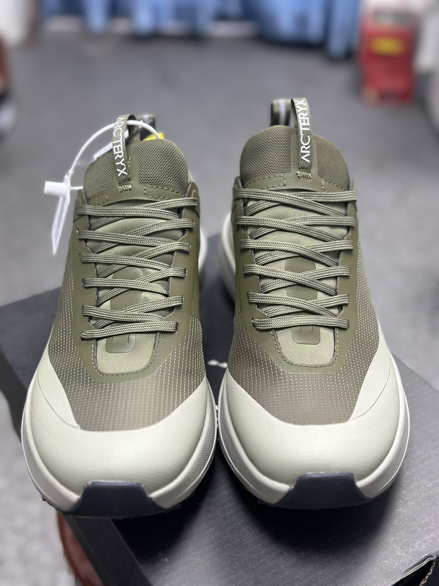 Arcteryx Basic Shoes M-l-s