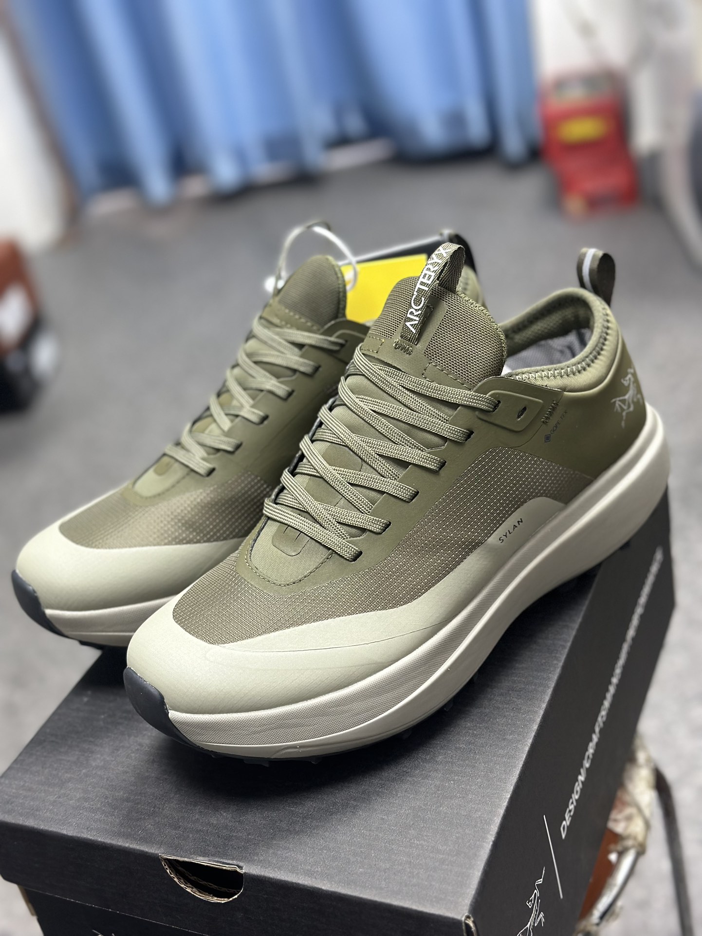 Arcteryx Basic Shoes M-l-s