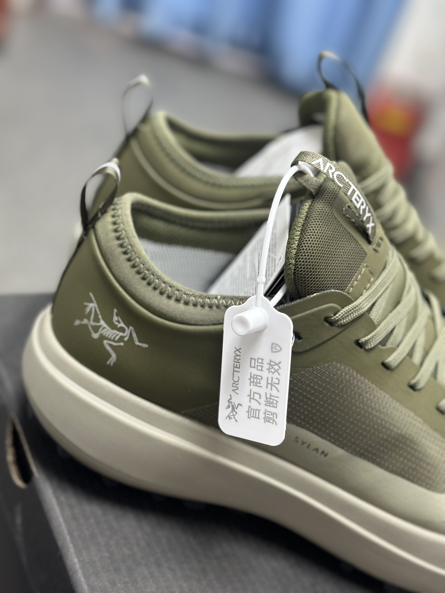 Arcteryx Basic Shoes M-l-s