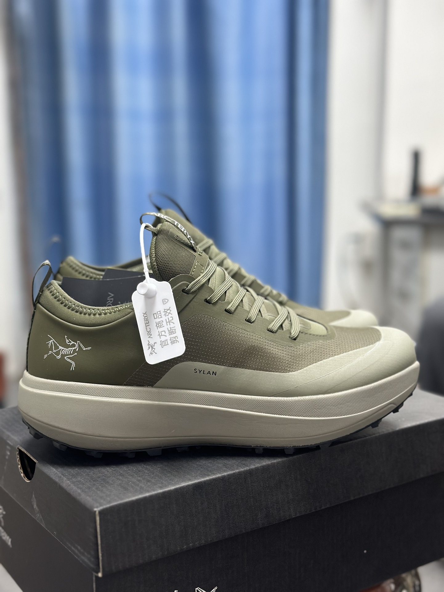 Arcteryx Basic Shoes M-l-s