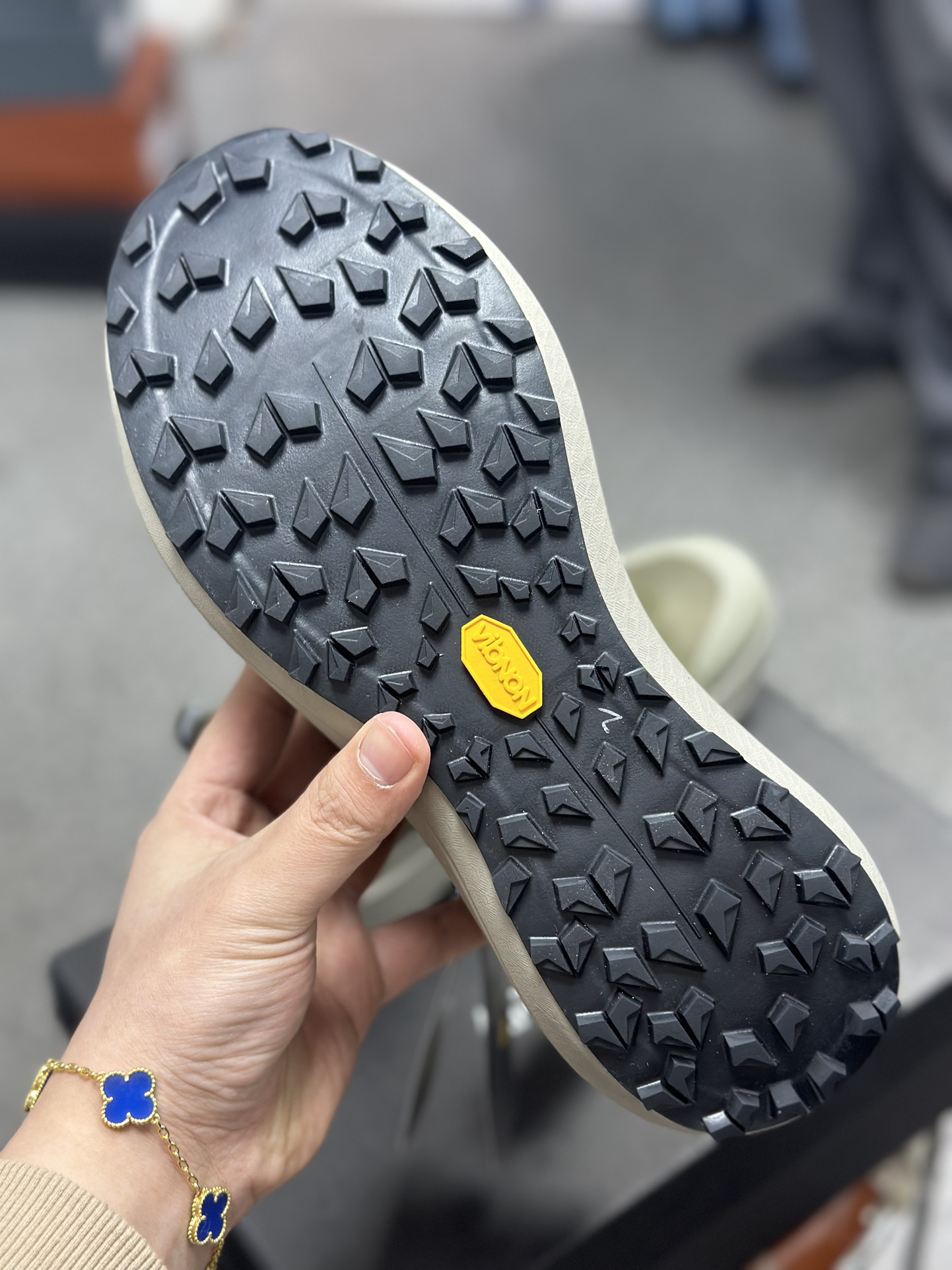 Arcteryx Basic Shoes M-l-s
