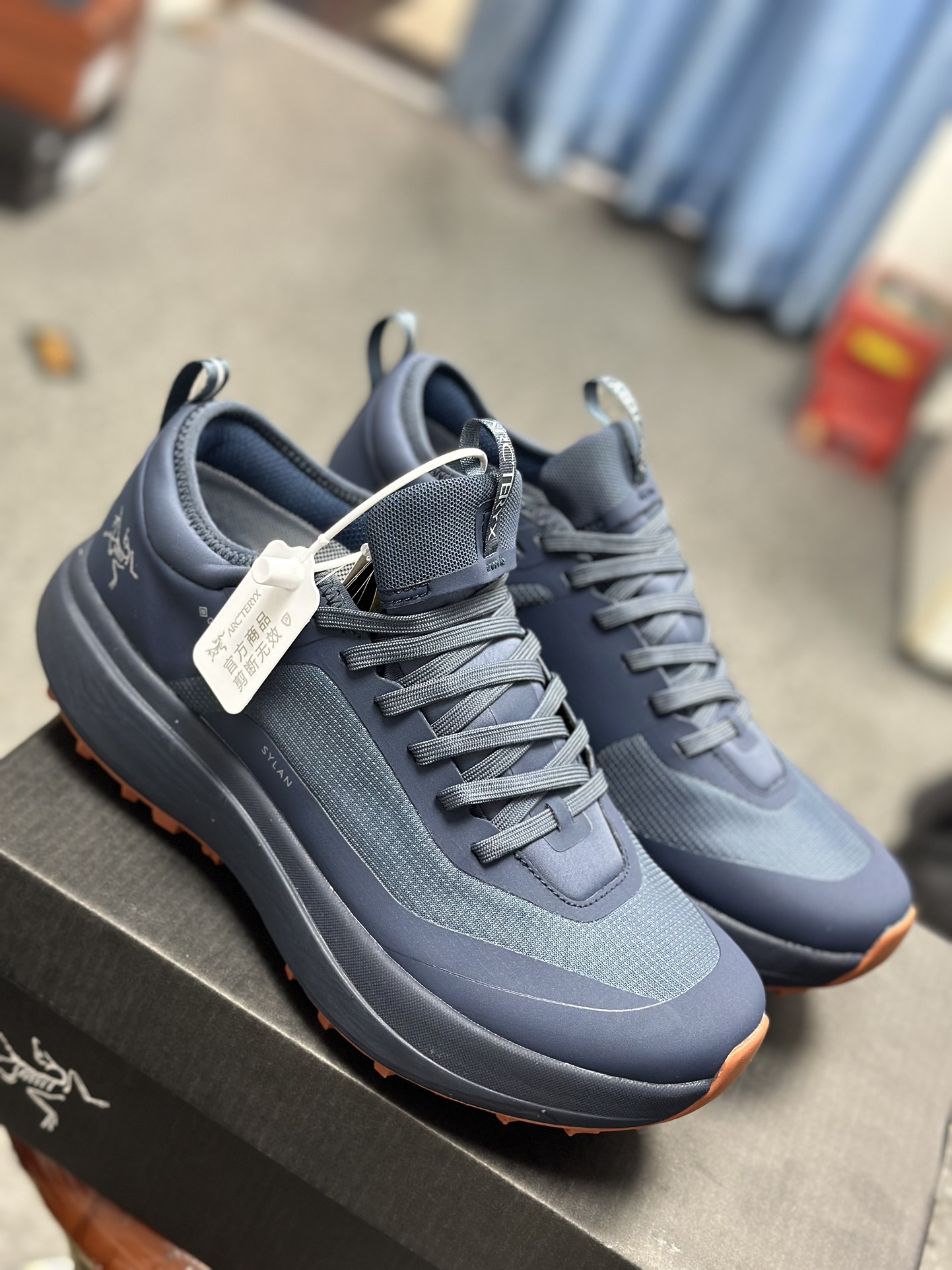 Arcteryx Basic Shoes Blue M-l-s