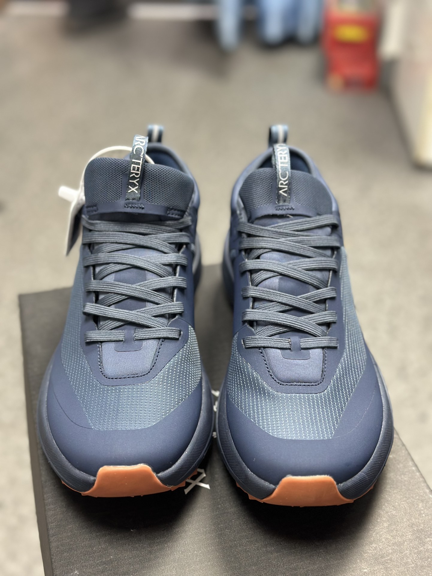 Arcteryx Basic Shoes Blue M-l-s
