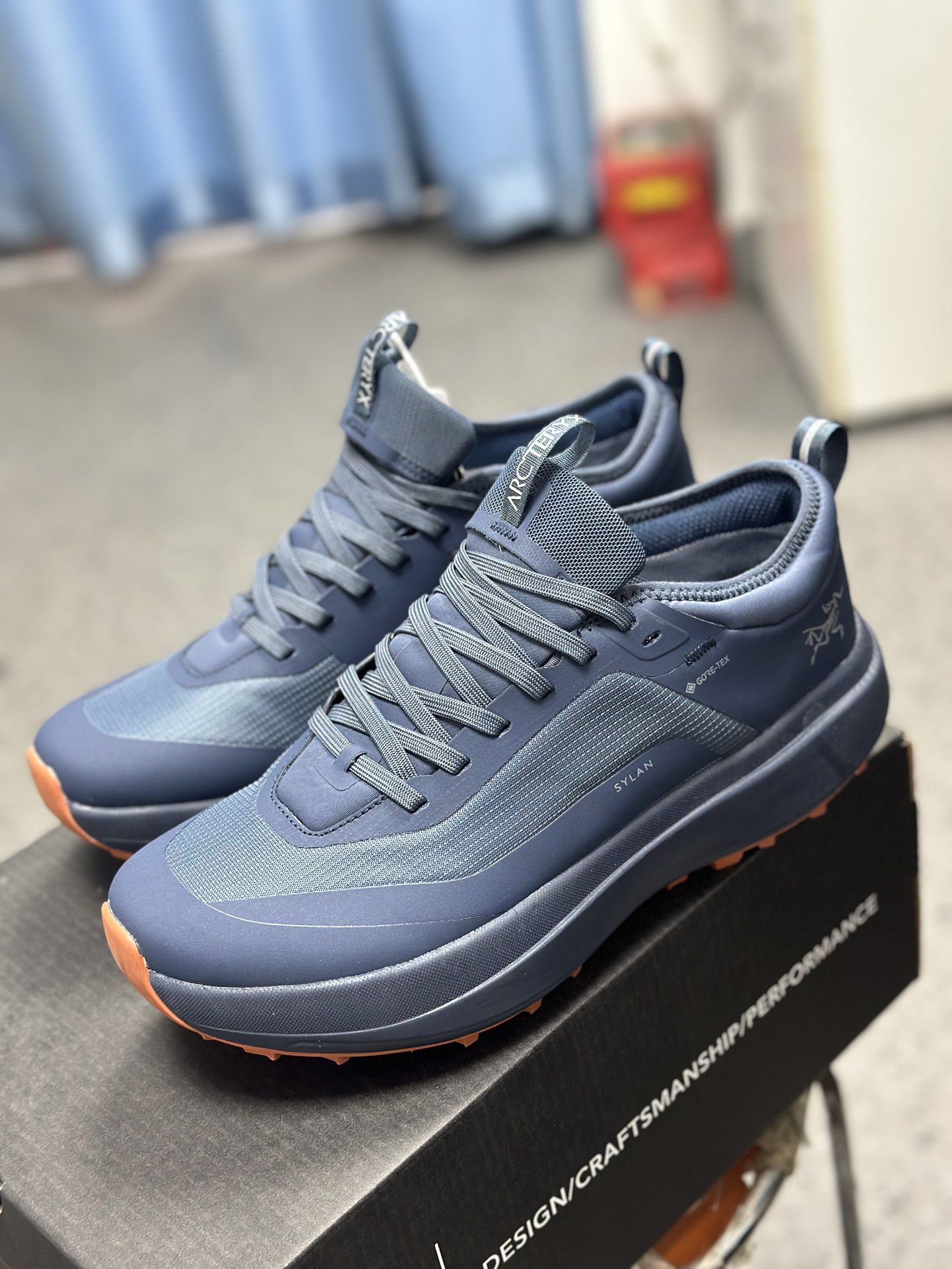 Arcteryx Basic Shoes Blue M-l-s