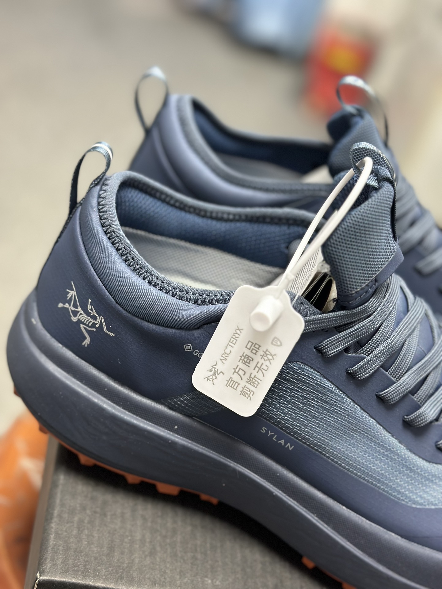 Arcteryx Basic Shoes Blue M-l-s