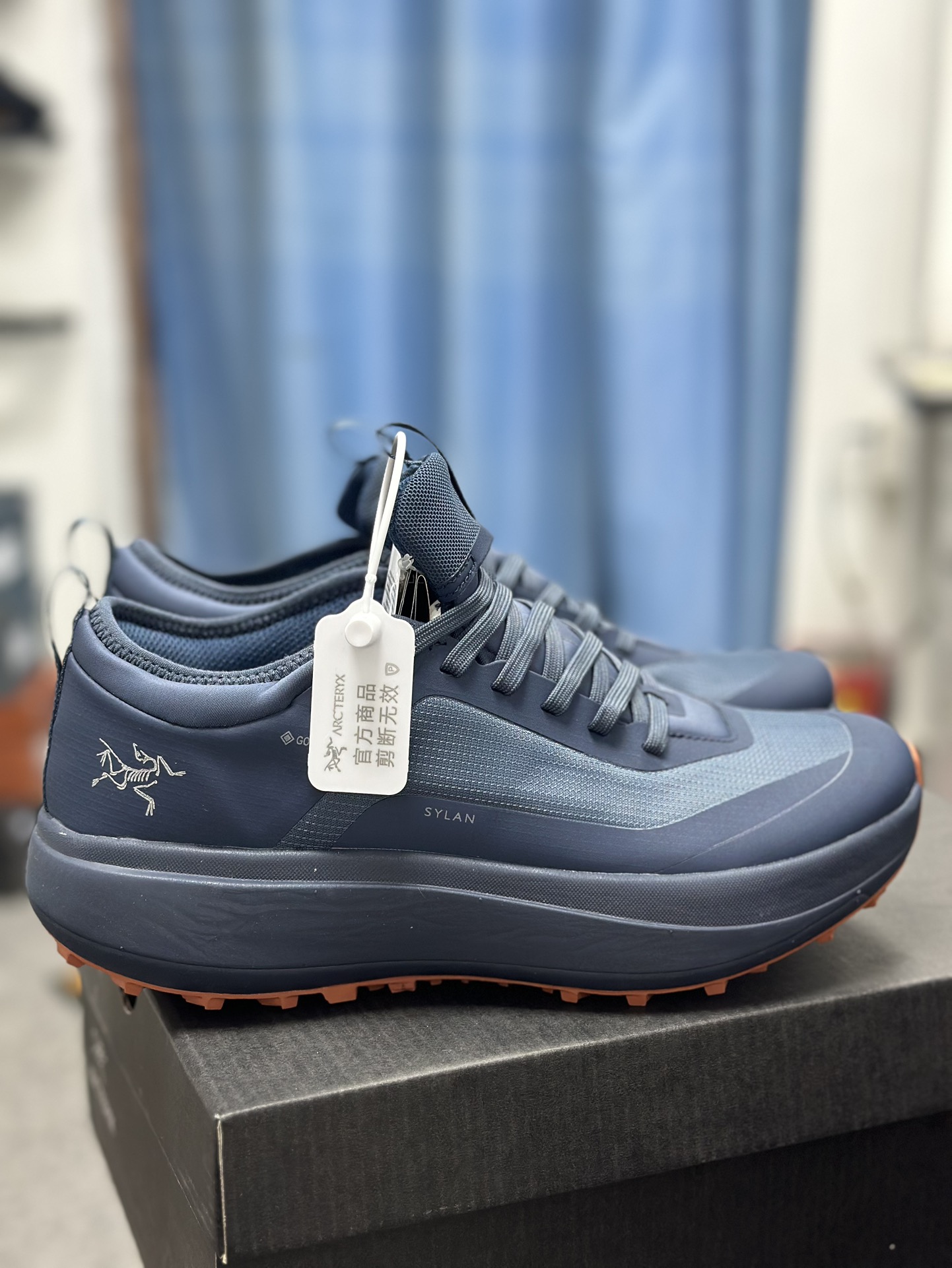Arcteryx Basic Shoes Blue M-l-s