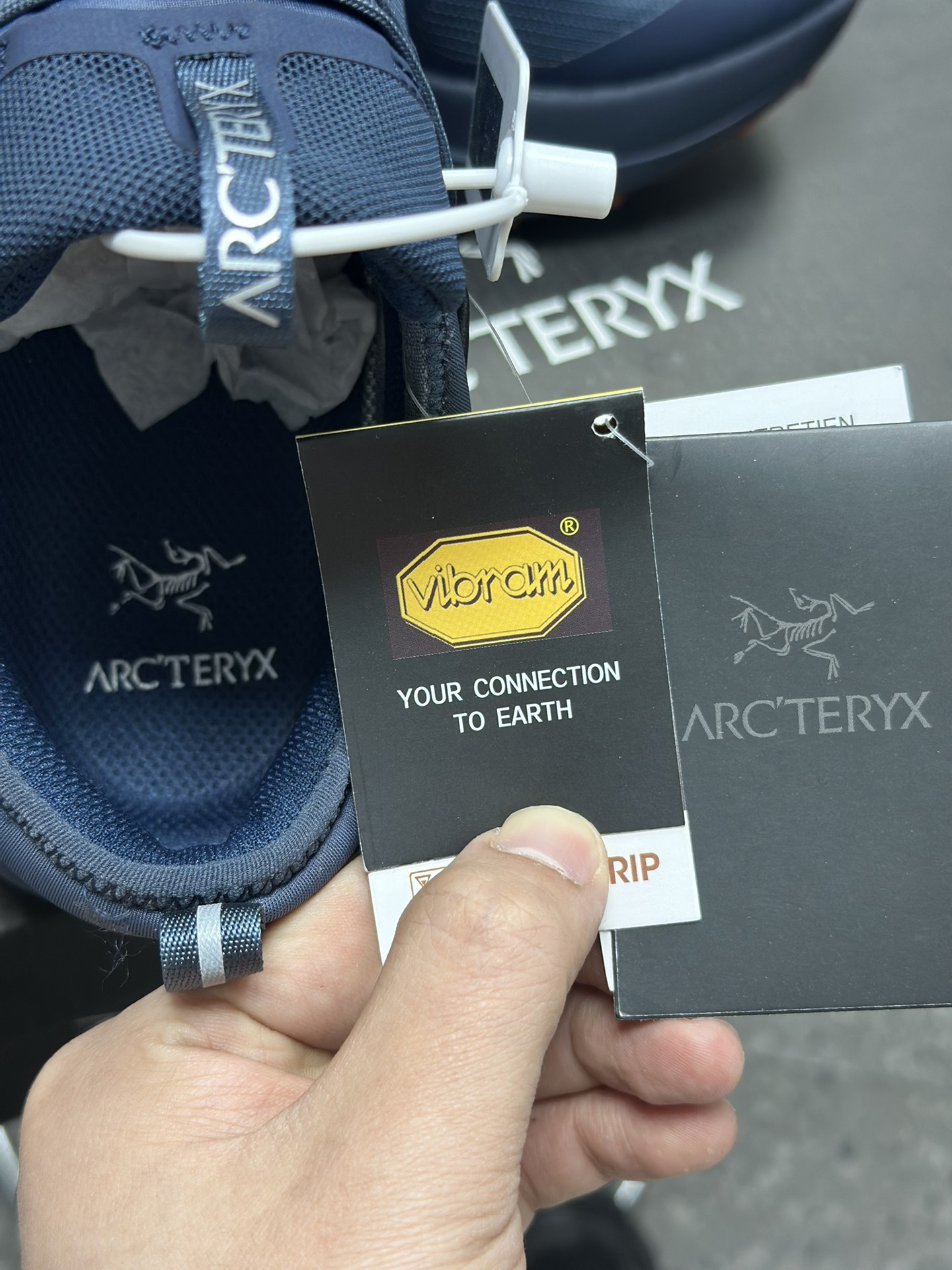 Arcteryx Basic Shoes Blue M-l-s