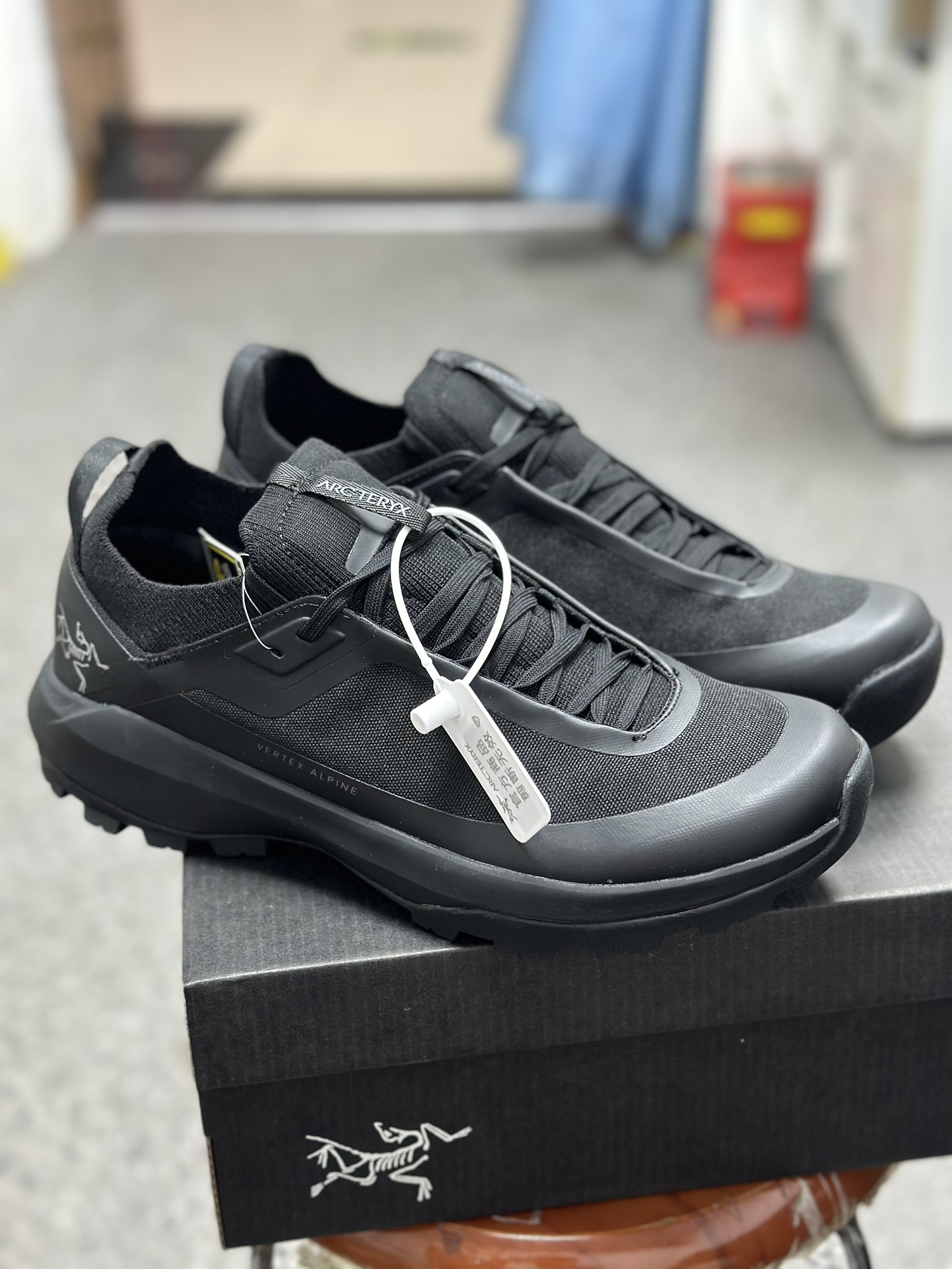 Arcteryx Basic Shoes Breathable L