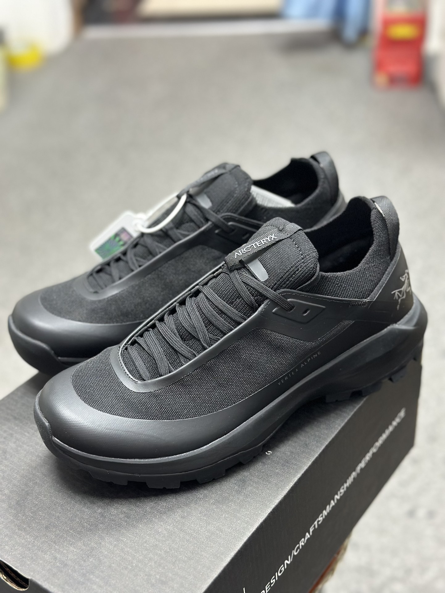 Arcteryx Basic Shoes Breathable L