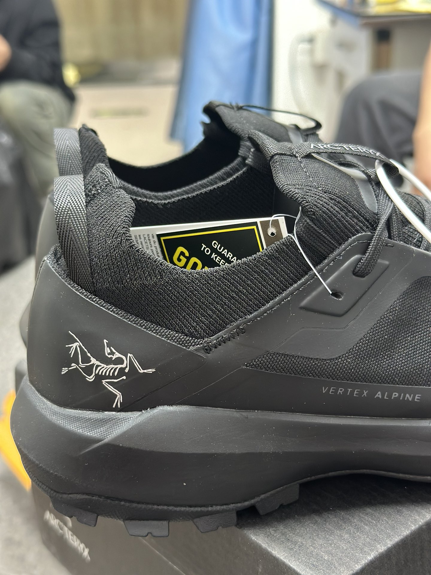 Arcteryx Basic Shoes Breathable L