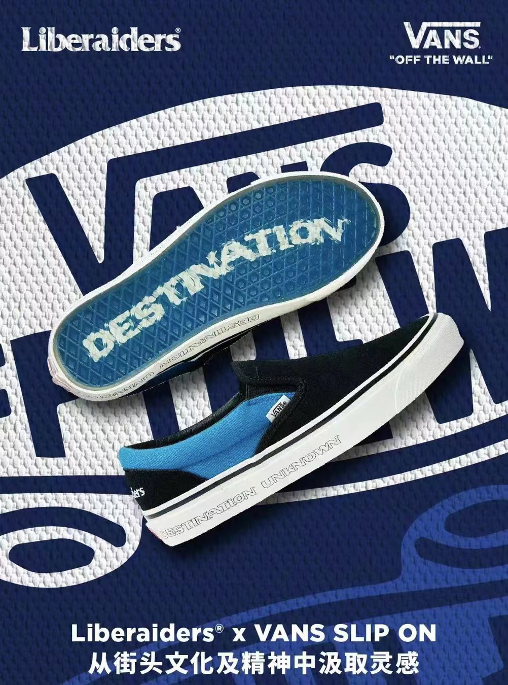 Vans Basic Shoes L-s