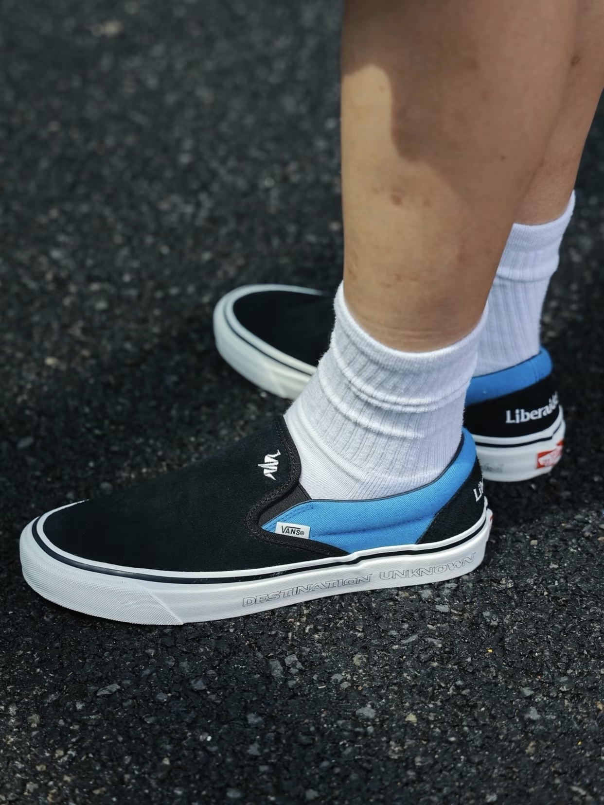 Vans Basic Shoes L-s