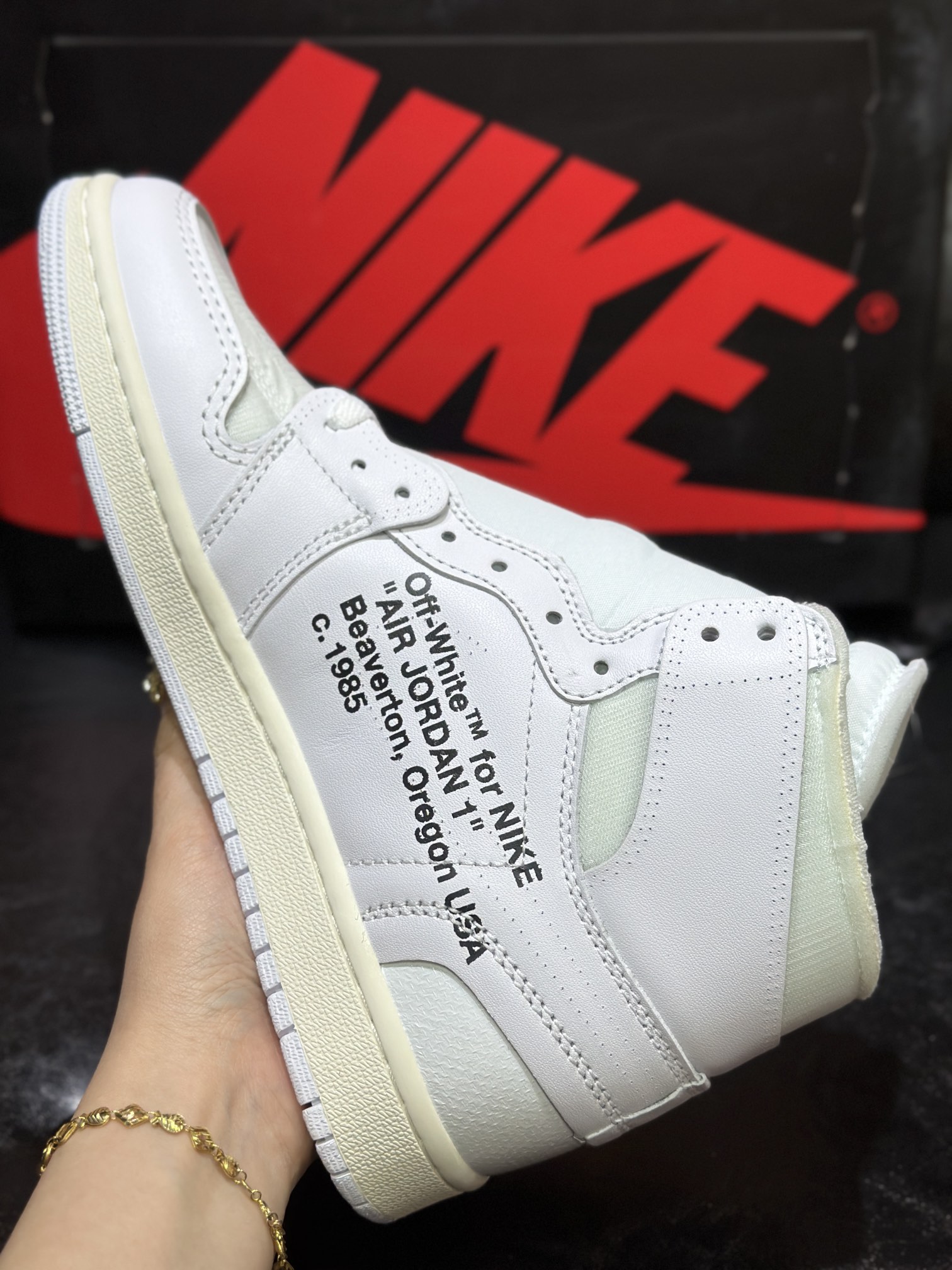 Jordan Nike Basic Shoes