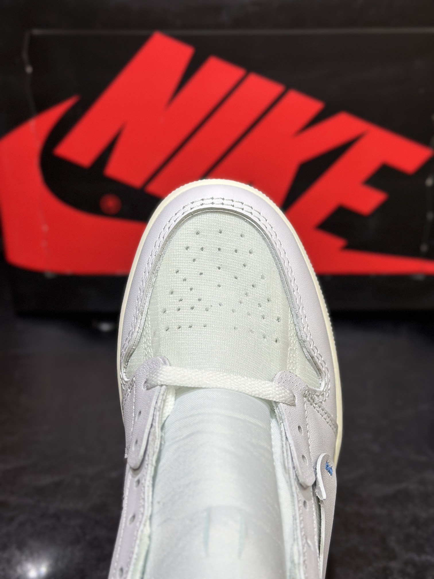 Jordan Nike Basic Shoes