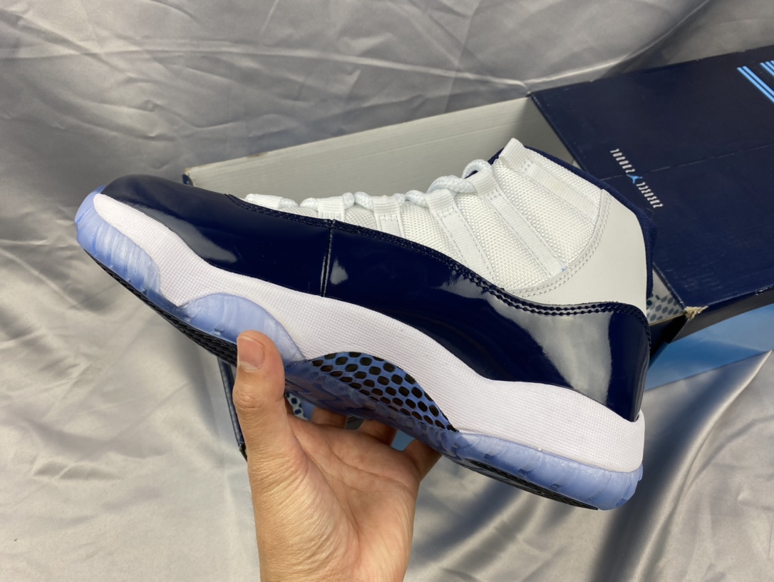 Jordan Nike Basic Shoes L