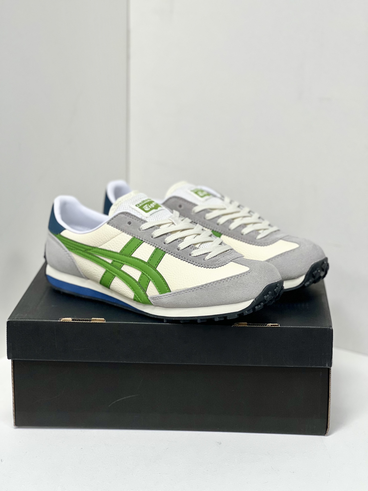 Dior Onitsuka Tiger Male Sneakers S
