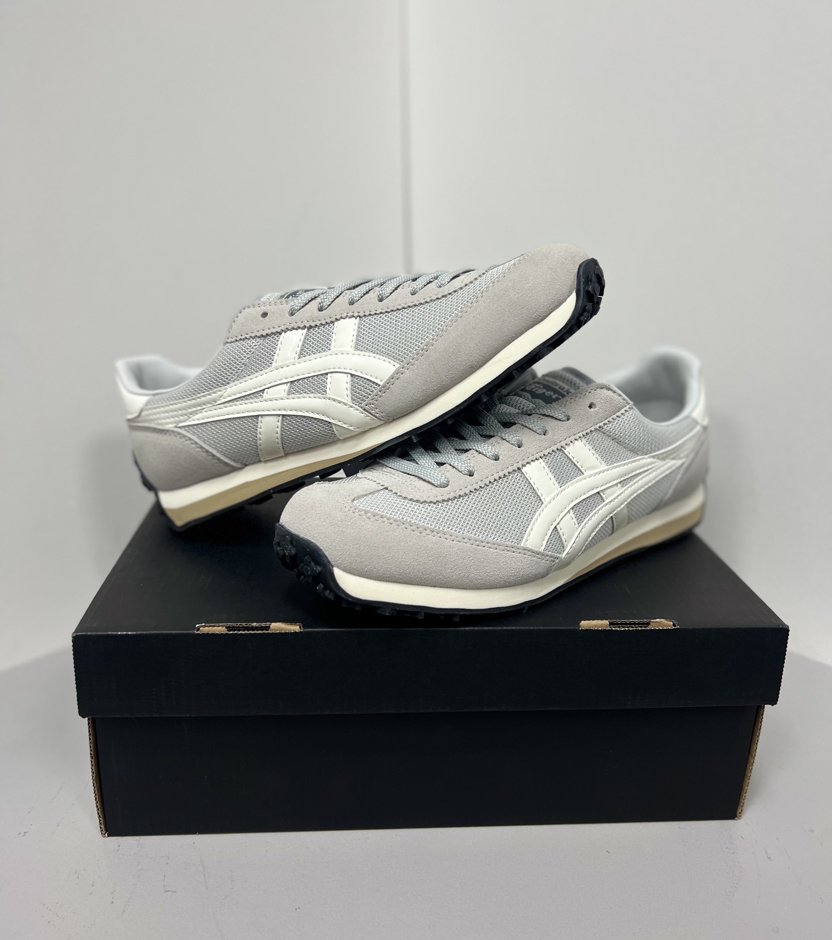 Dior Onitsuka Tiger Male Sneakers S