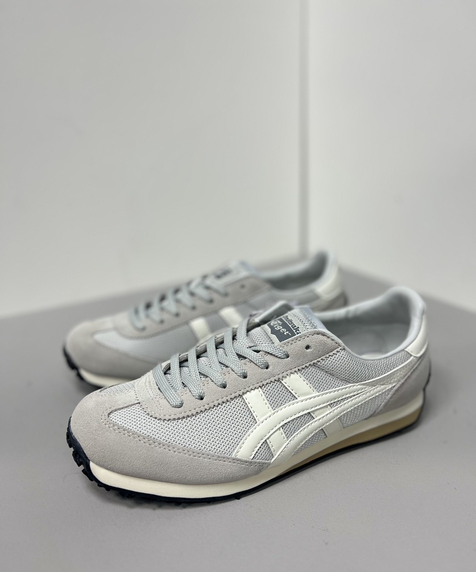 Dior Onitsuka Tiger Male Sneakers S