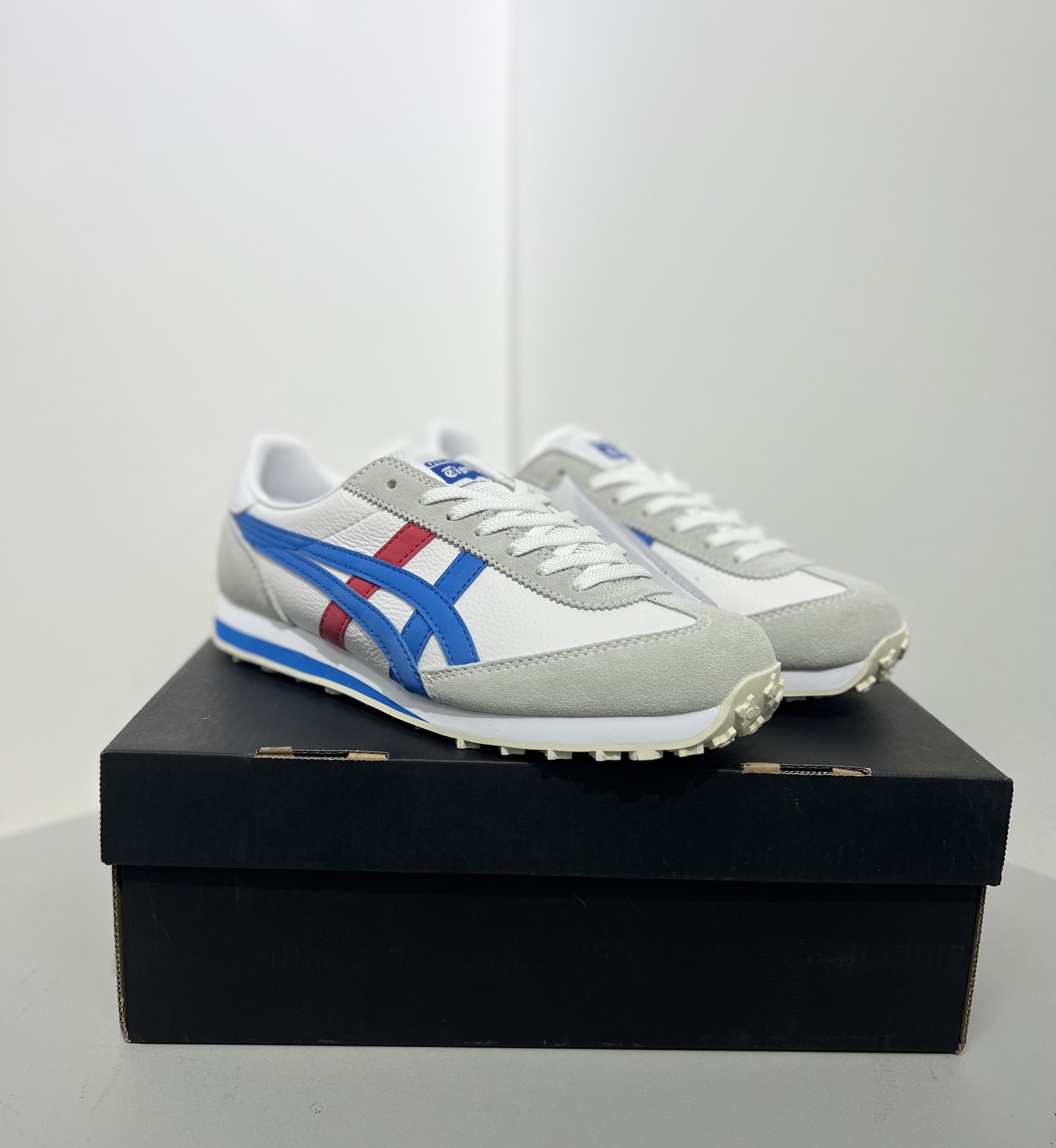 Dior Onitsuka Tiger Male Sneakers S