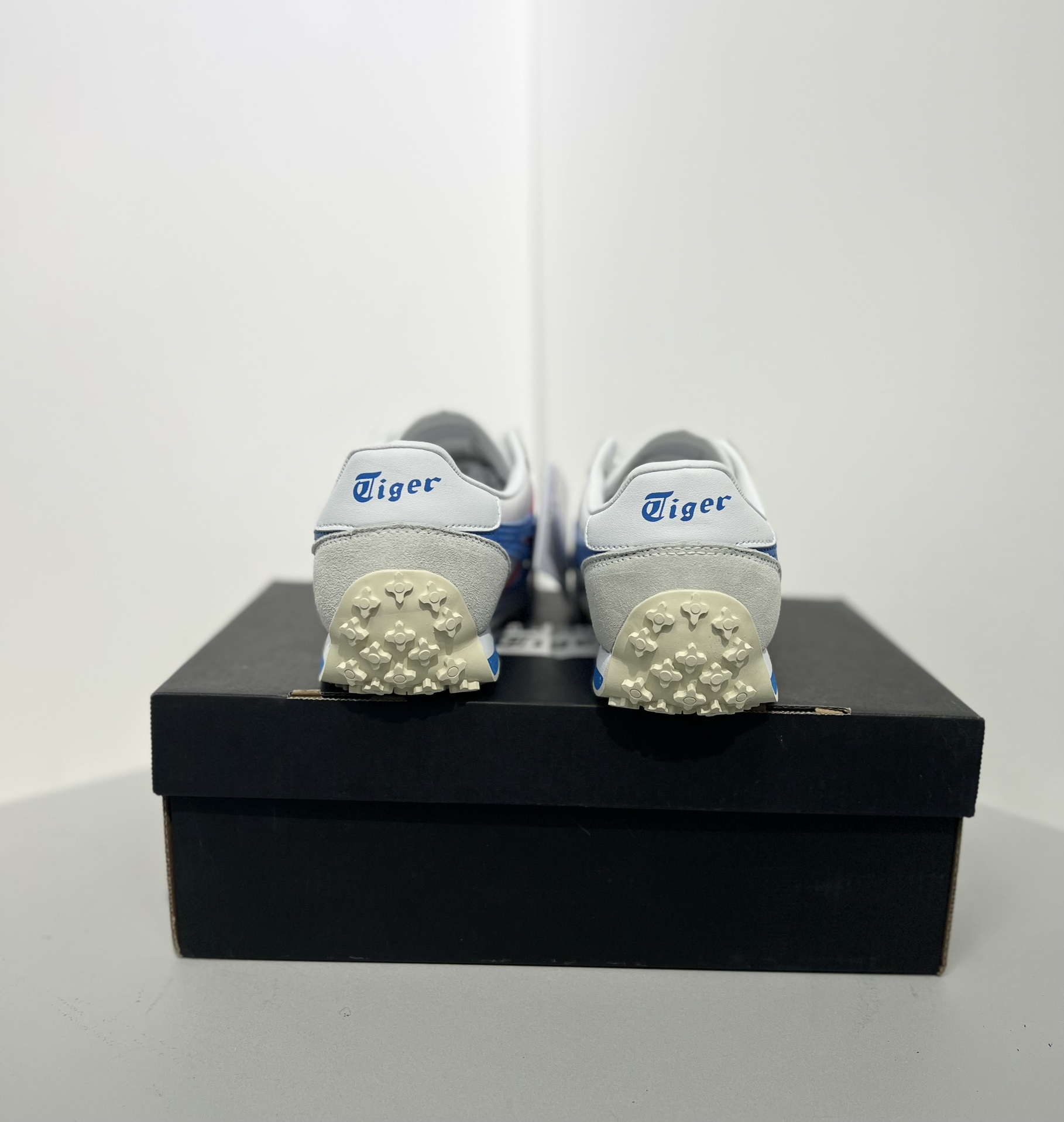 Dior Onitsuka Tiger Male Sneakers S
