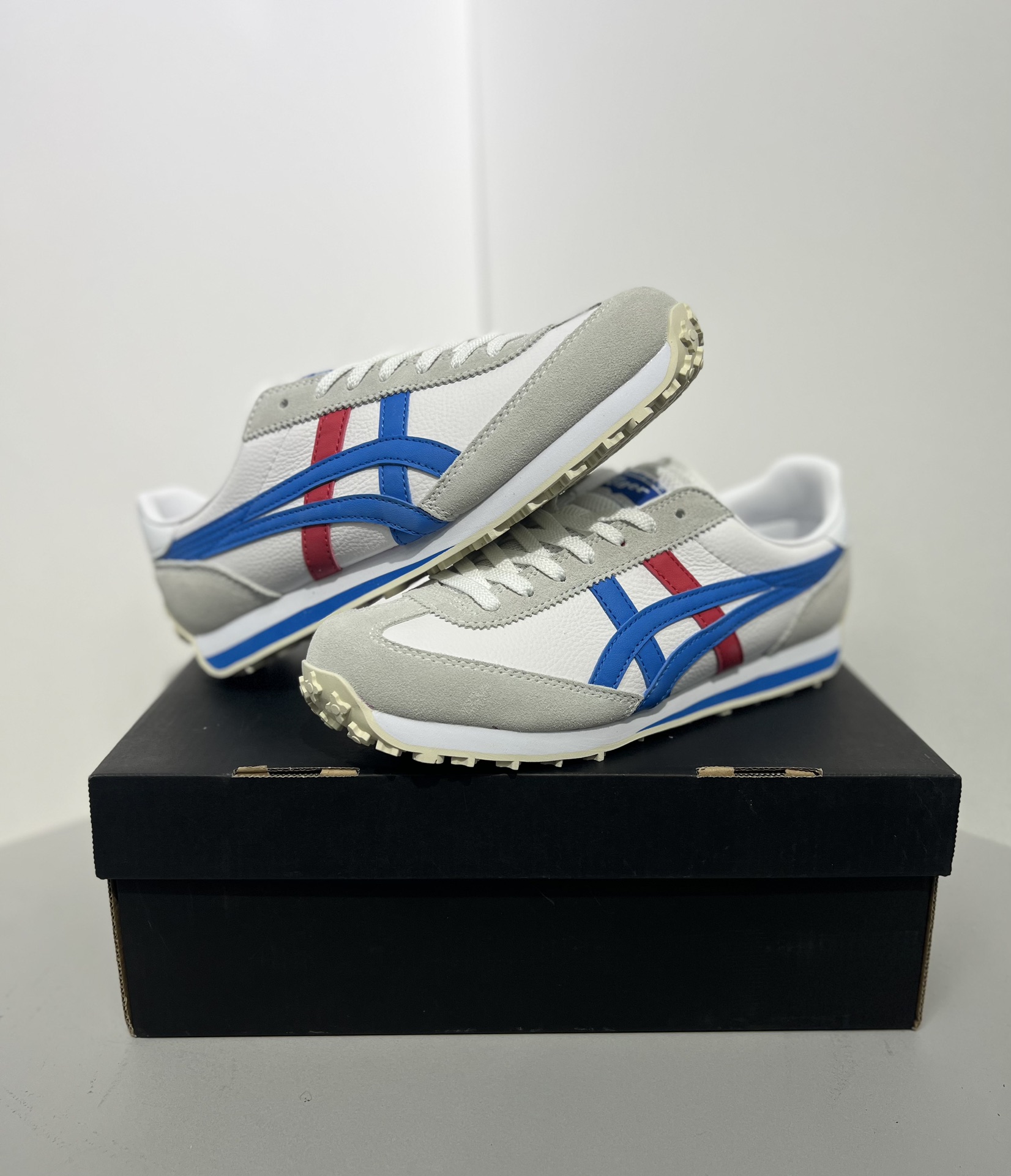 Dior Onitsuka Tiger Male Sneakers S