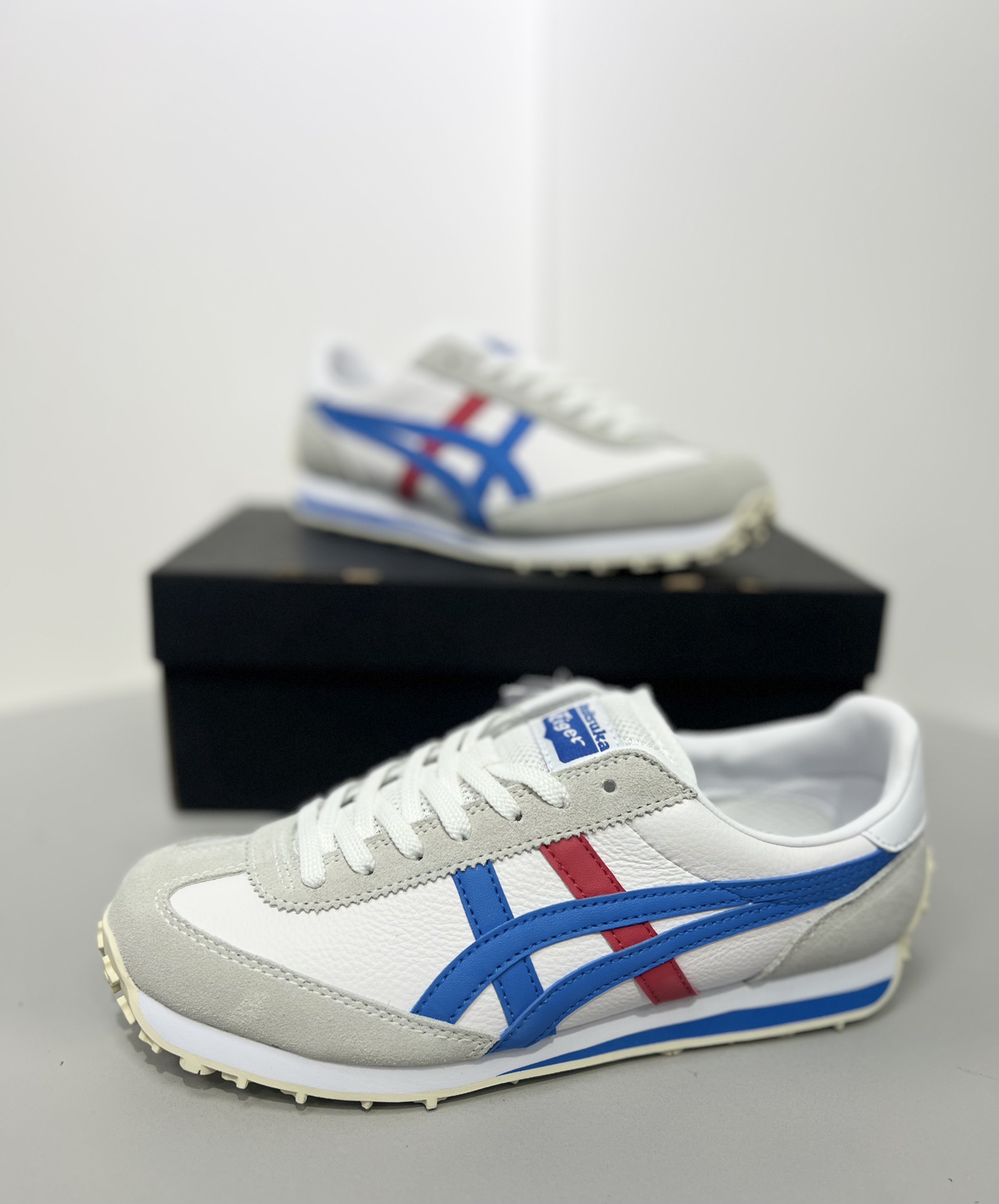 Dior Onitsuka Tiger Male Sneakers S
